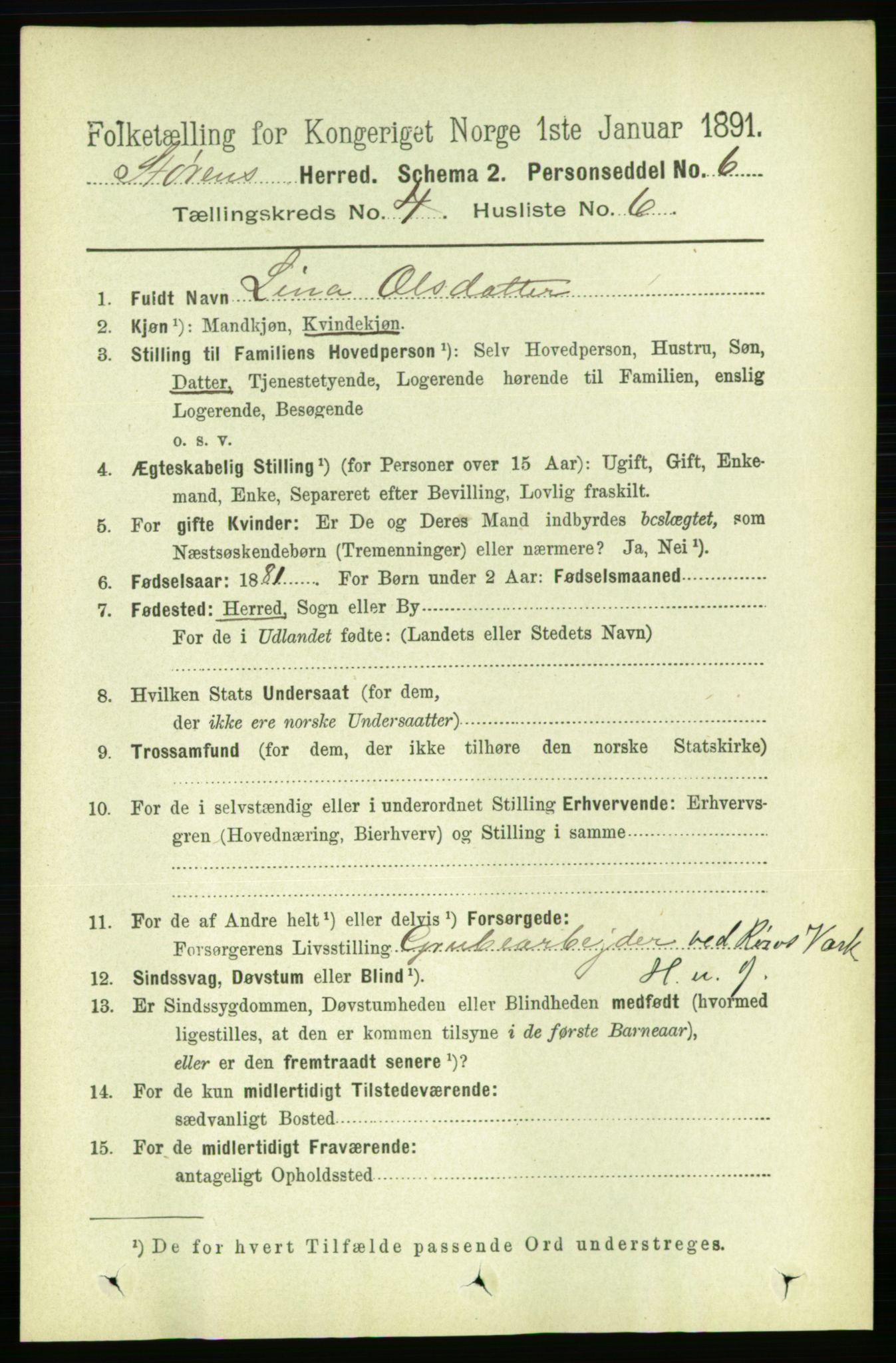 RA, 1891 census for 1648 Støren, 1891, p. 1325