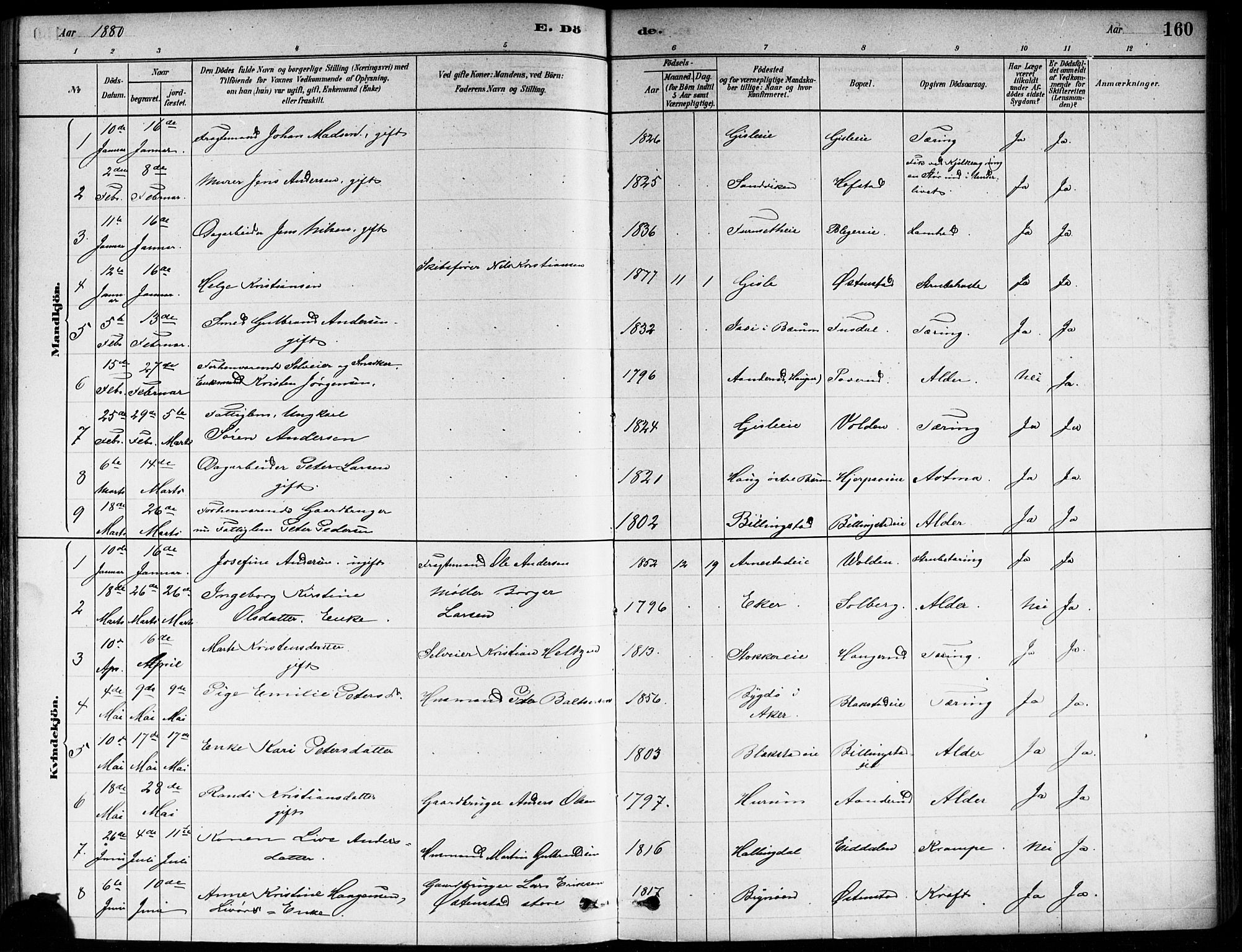 Asker prestekontor Kirkebøker, AV/SAO-A-10256a/F/Fa/L0013: Parish register (official) no. I 13, 1879-1896, p. 160