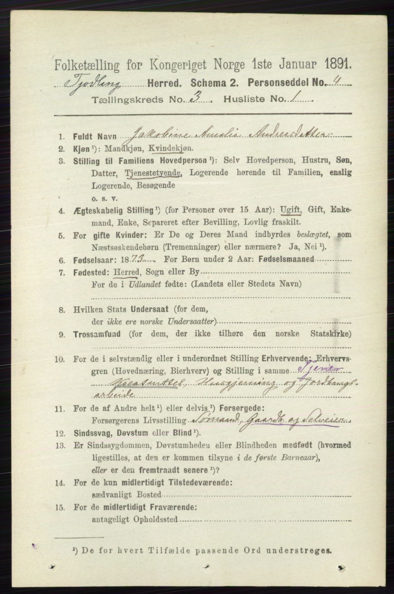 RA, 1891 census for 0725 Tjølling, 1891, p. 919