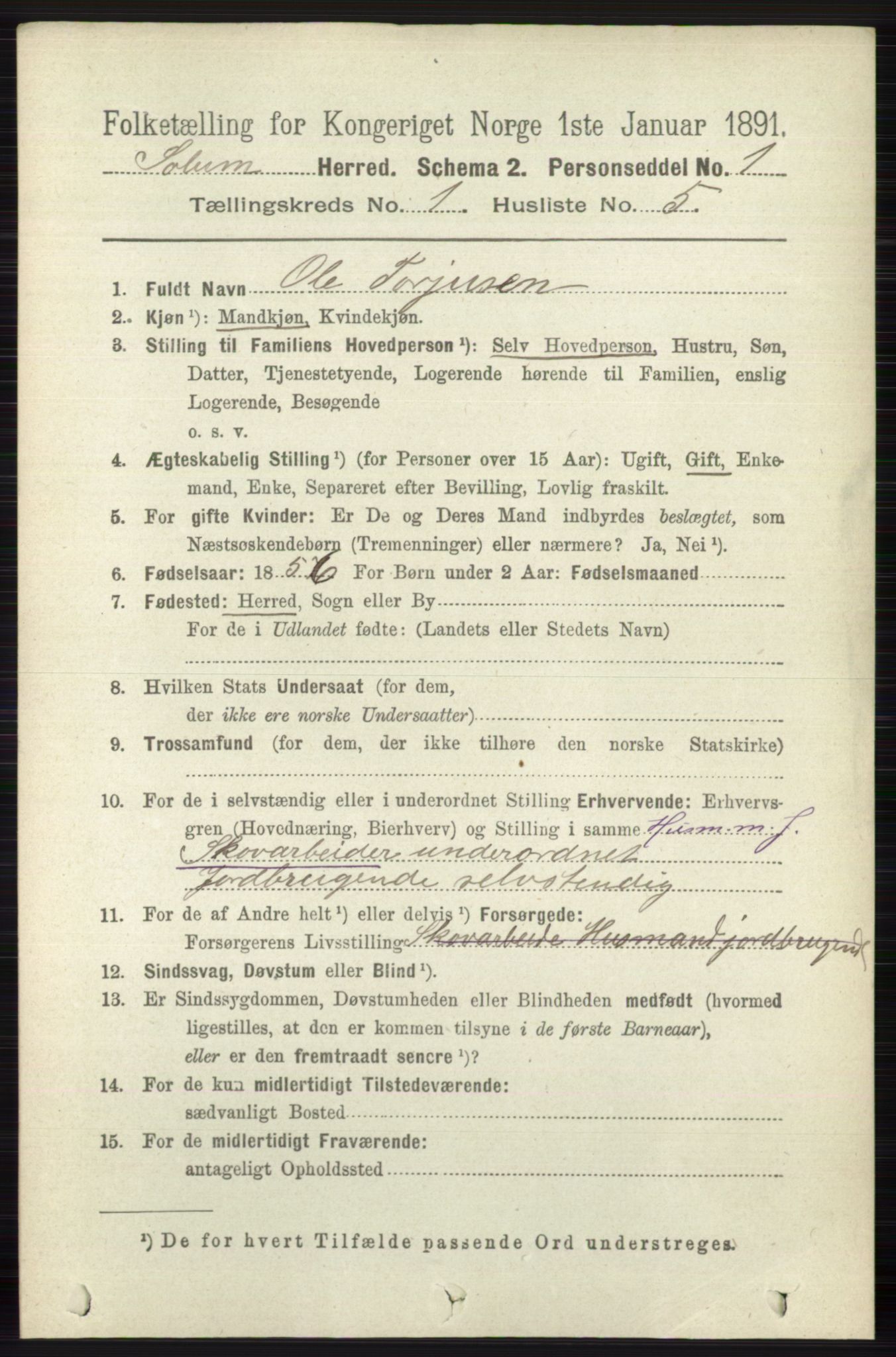 RA, 1891 census for 0818 Solum, 1891, p. 71