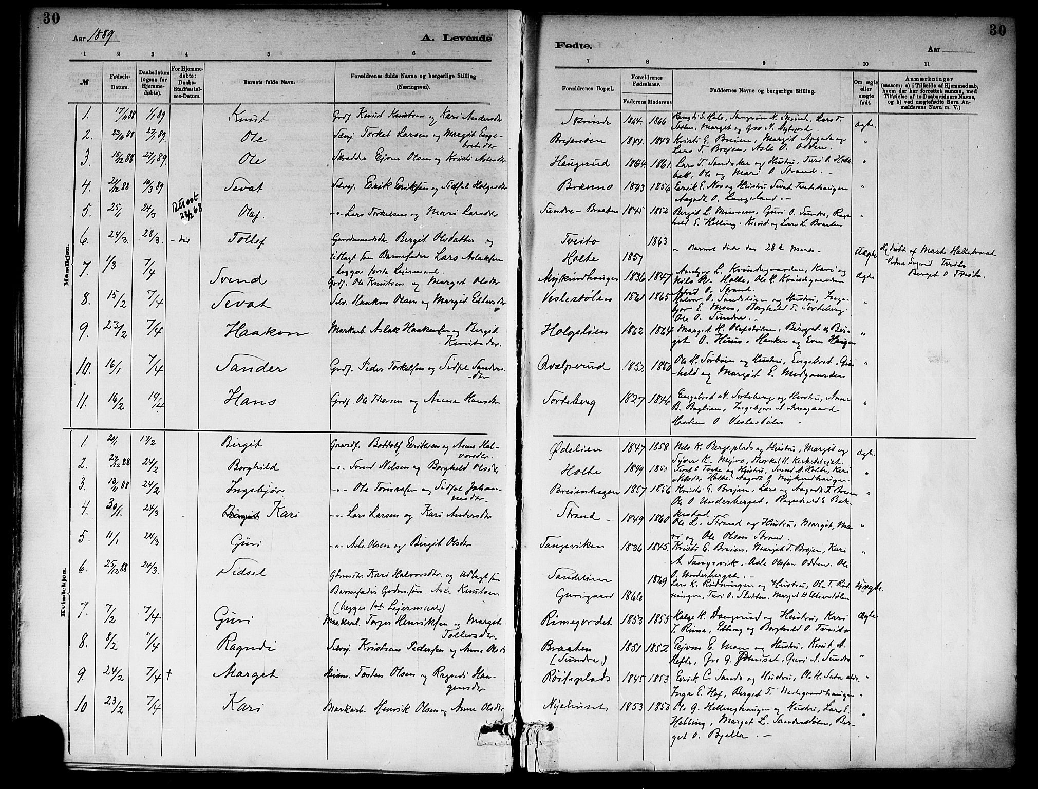 Ål kirkebøker, SAKO/A-249/F/Fa/L0008: Parish register (official) no. I 8, 1882-1896, p. 30