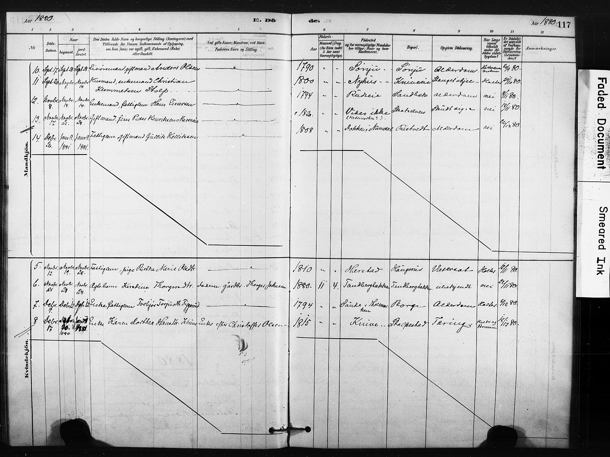 Eiker kirkebøker, AV/SAKO-A-4/F/Fc/L0001: Parish register (official) no. III 1, 1878-1889, p. 117