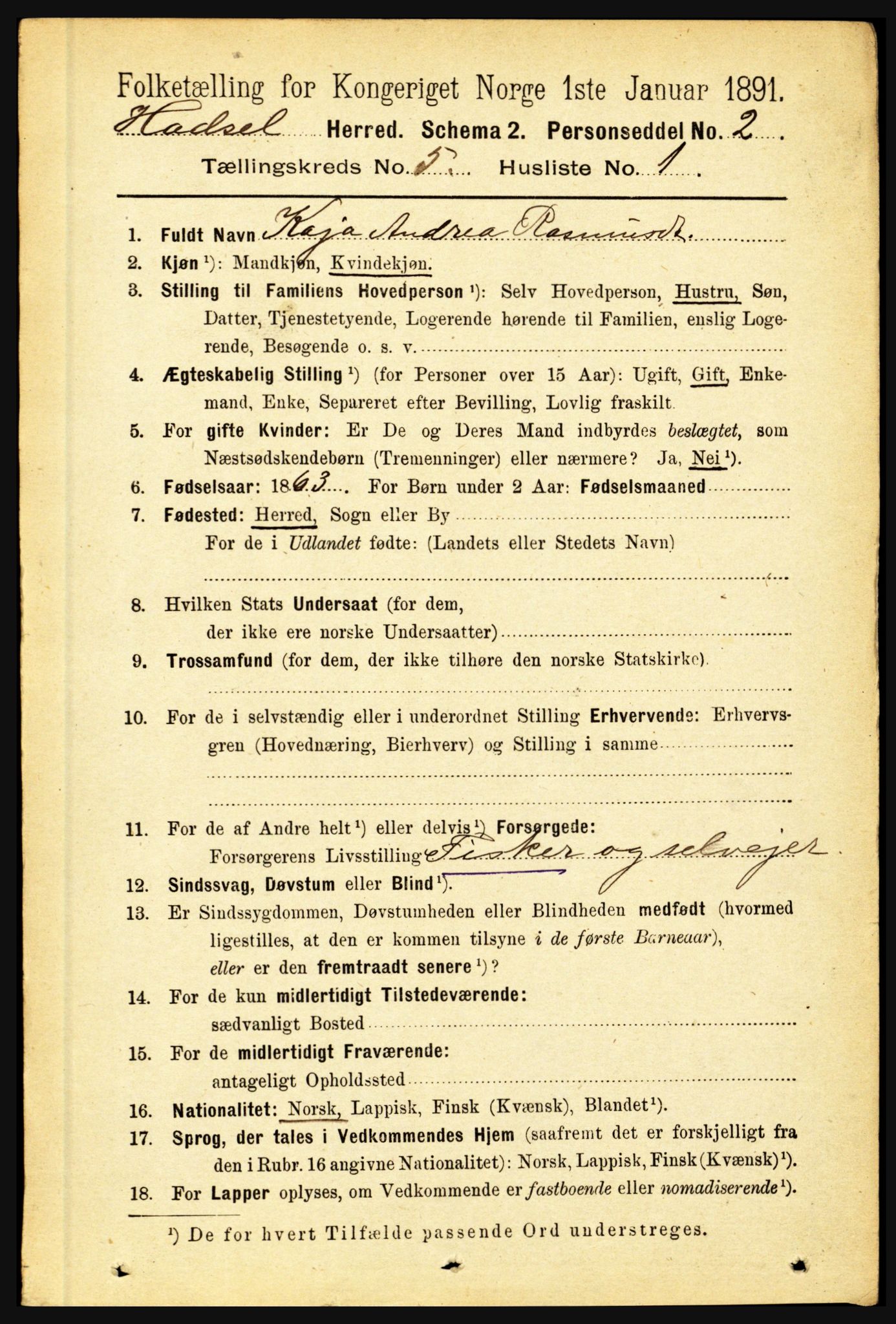 RA, 1891 census for 1866 Hadsel, 1891, p. 2125