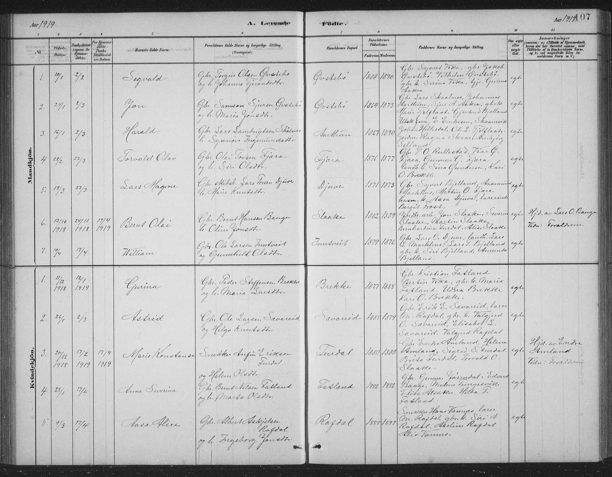 Skånevik sokneprestembete, AV/SAB-A-77801/H/Hab: Parish register (copy) no. B 2, 1881-1920, p. 107