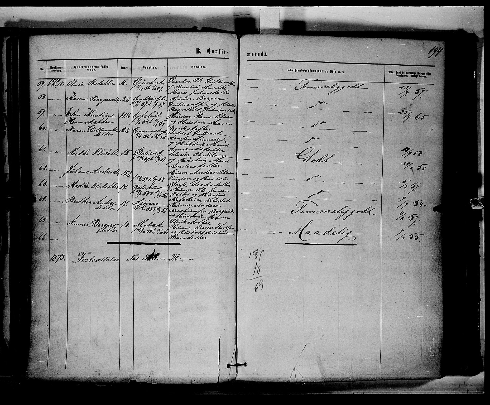 Eidskog prestekontor, AV/SAH-PREST-026/H/Ha/Haa/L0002: Parish register (official) no. 2, 1867-1878, p. 194