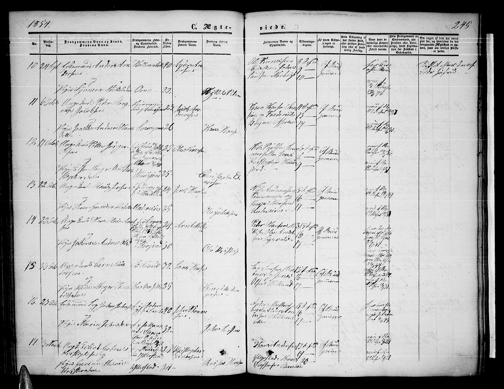 Ministerialprotokoller, klokkerbøker og fødselsregistre - Nordland, AV/SAT-A-1459/872/L1046: Parish register (copy) no. 872C02, 1852-1879, p. 245