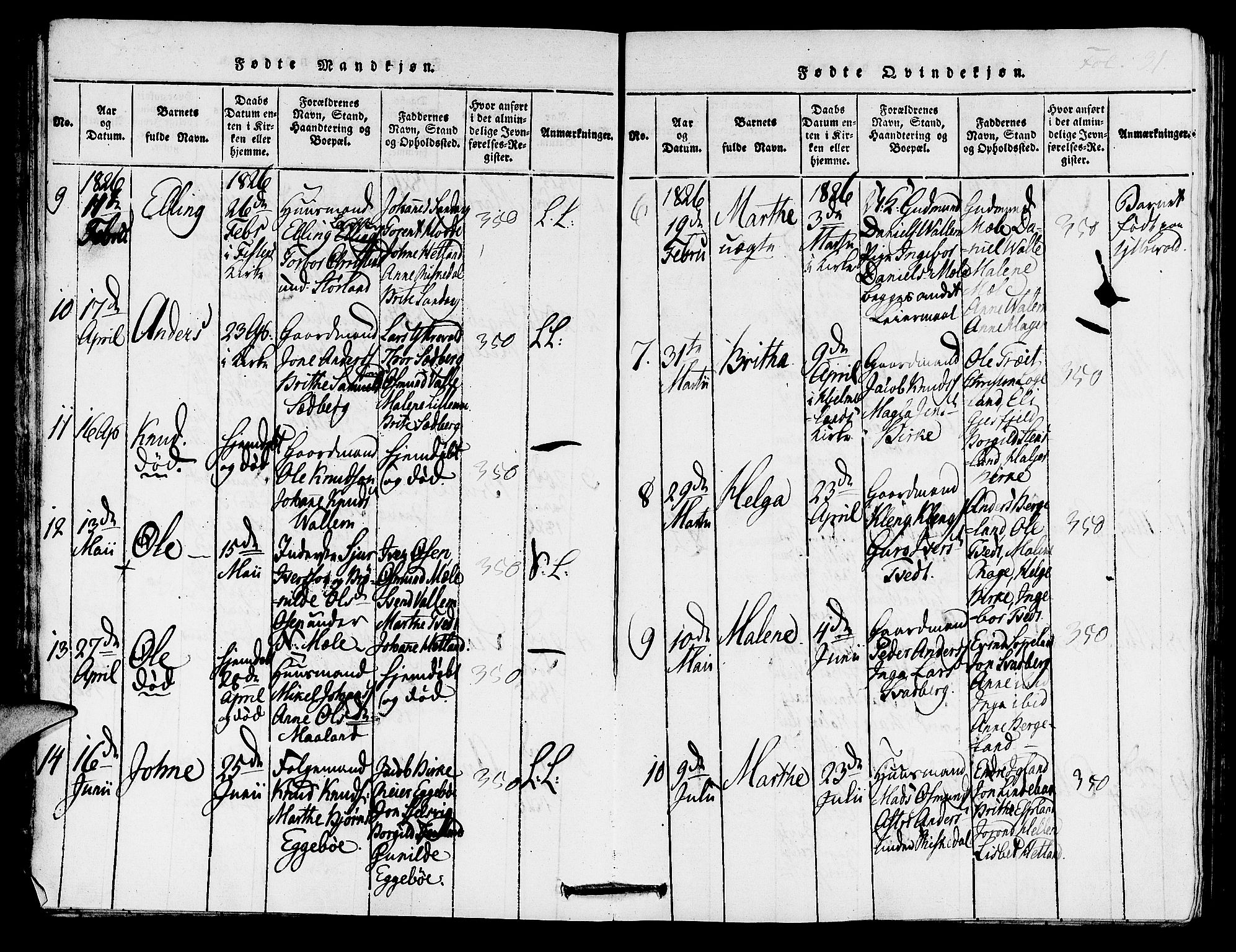 Hjelmeland sokneprestkontor, AV/SAST-A-101843/01/IV/L0005: Parish register (official) no. A 5, 1816-1841, p. 31