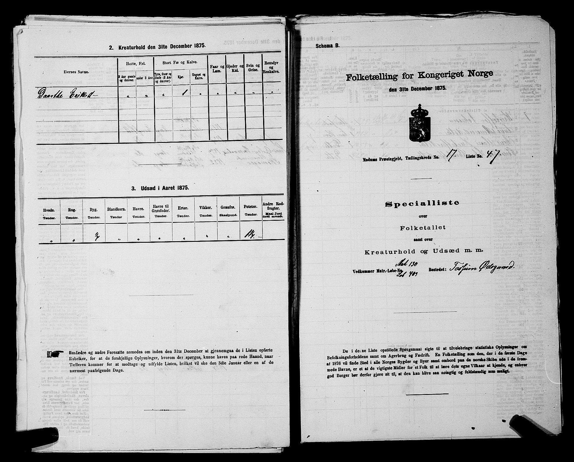 SAKO, 1875 census for 0623P Modum, 1875, p. 2263