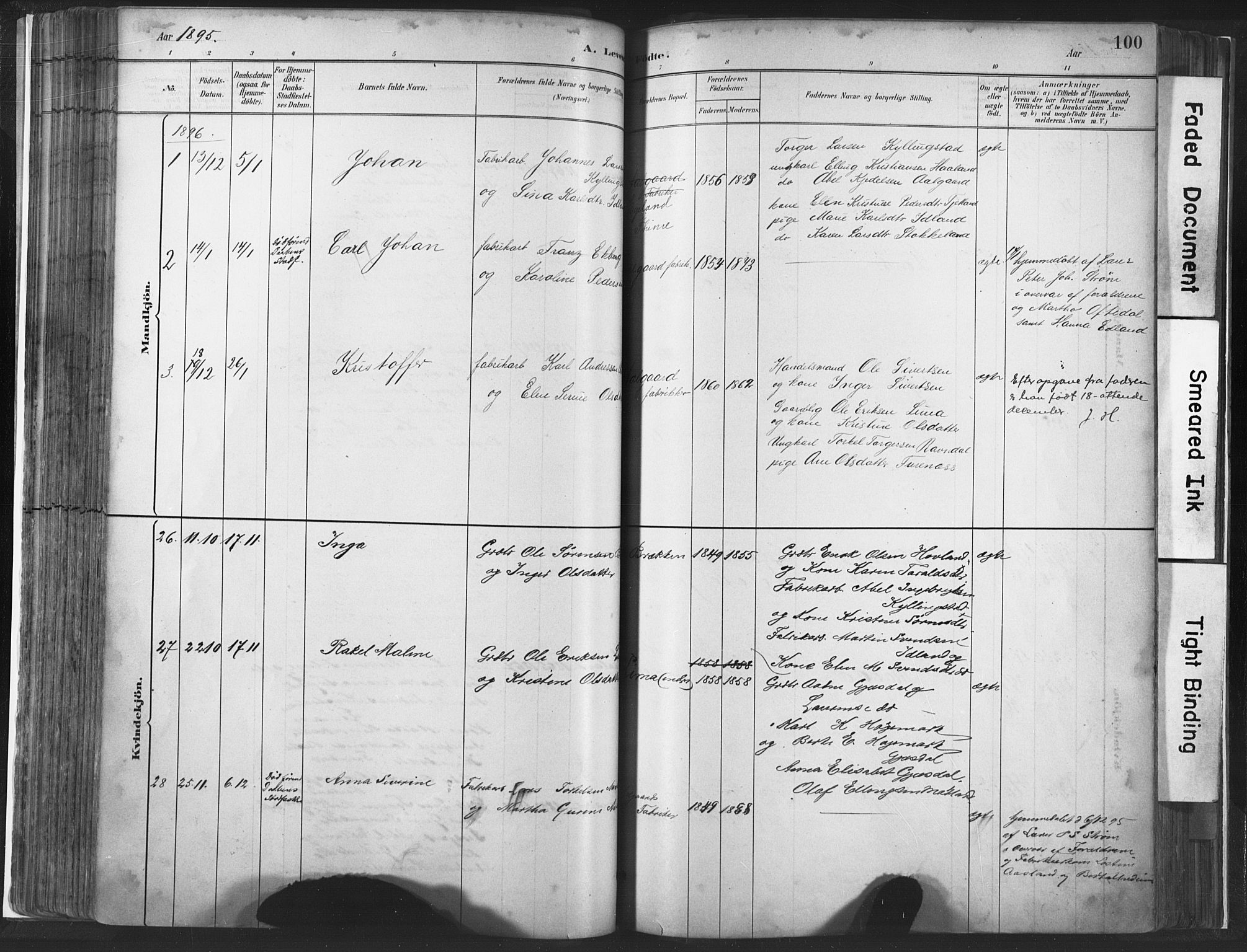 Lye sokneprestkontor, SAST/A-101794/001/30BA/L0010: Parish register (official) no. A 10, 1881-1896, p. 100