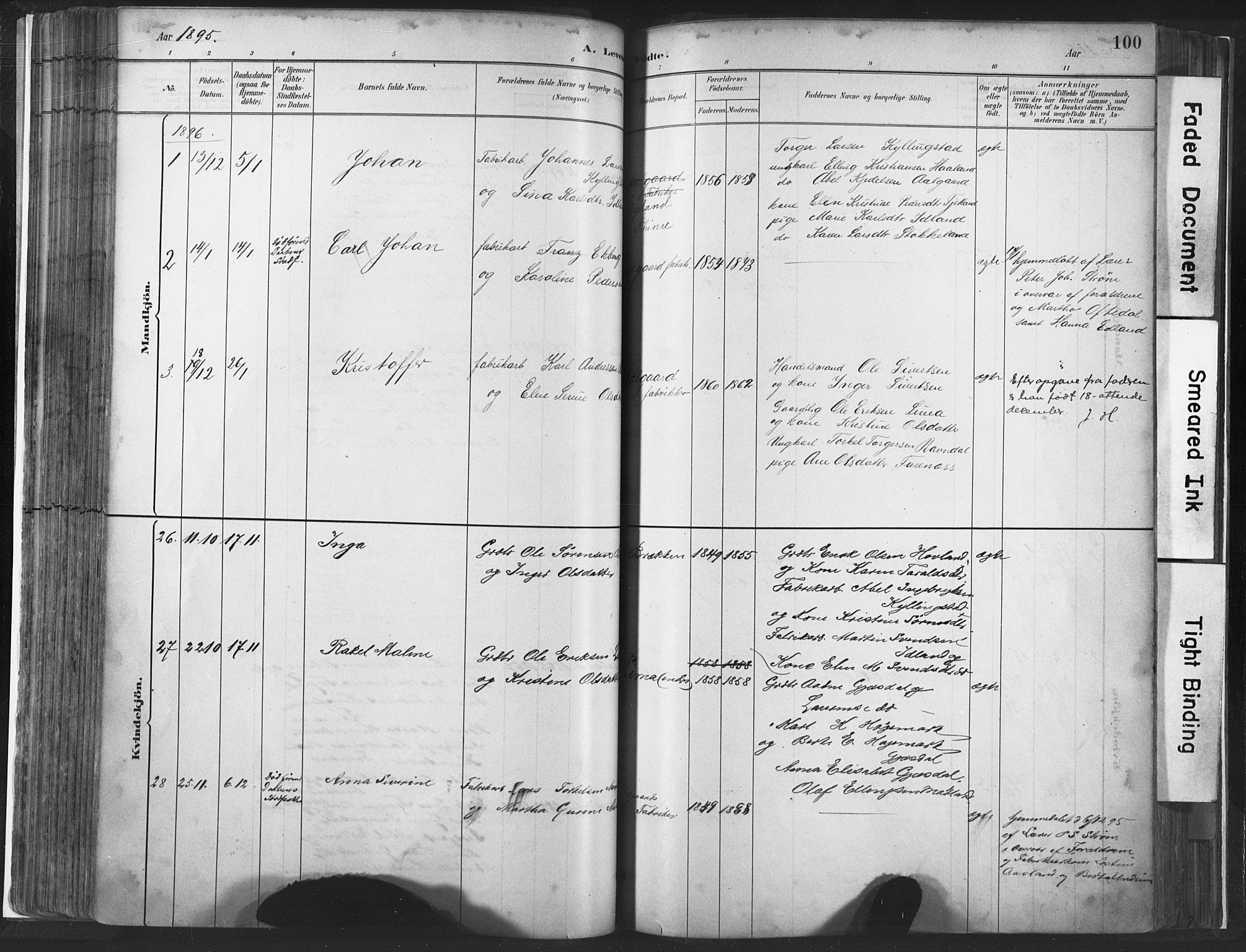 Lye sokneprestkontor, AV/SAST-A-101794/001/30BA/L0010: Parish register (official) no. A 10, 1881-1896, p. 100