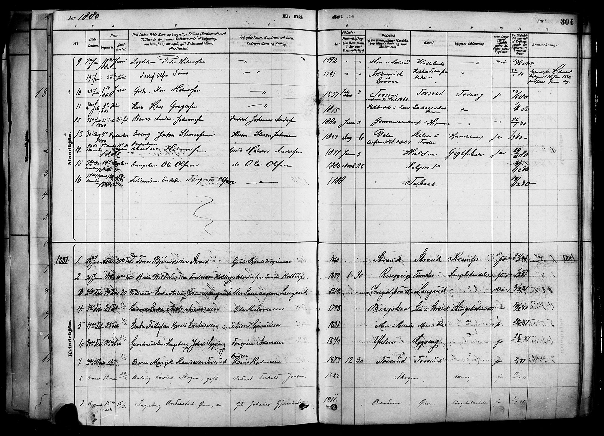 Heddal kirkebøker, SAKO/A-268/F/Fa/L0008: Parish register (official) no. I 8, 1878-1903, p. 304