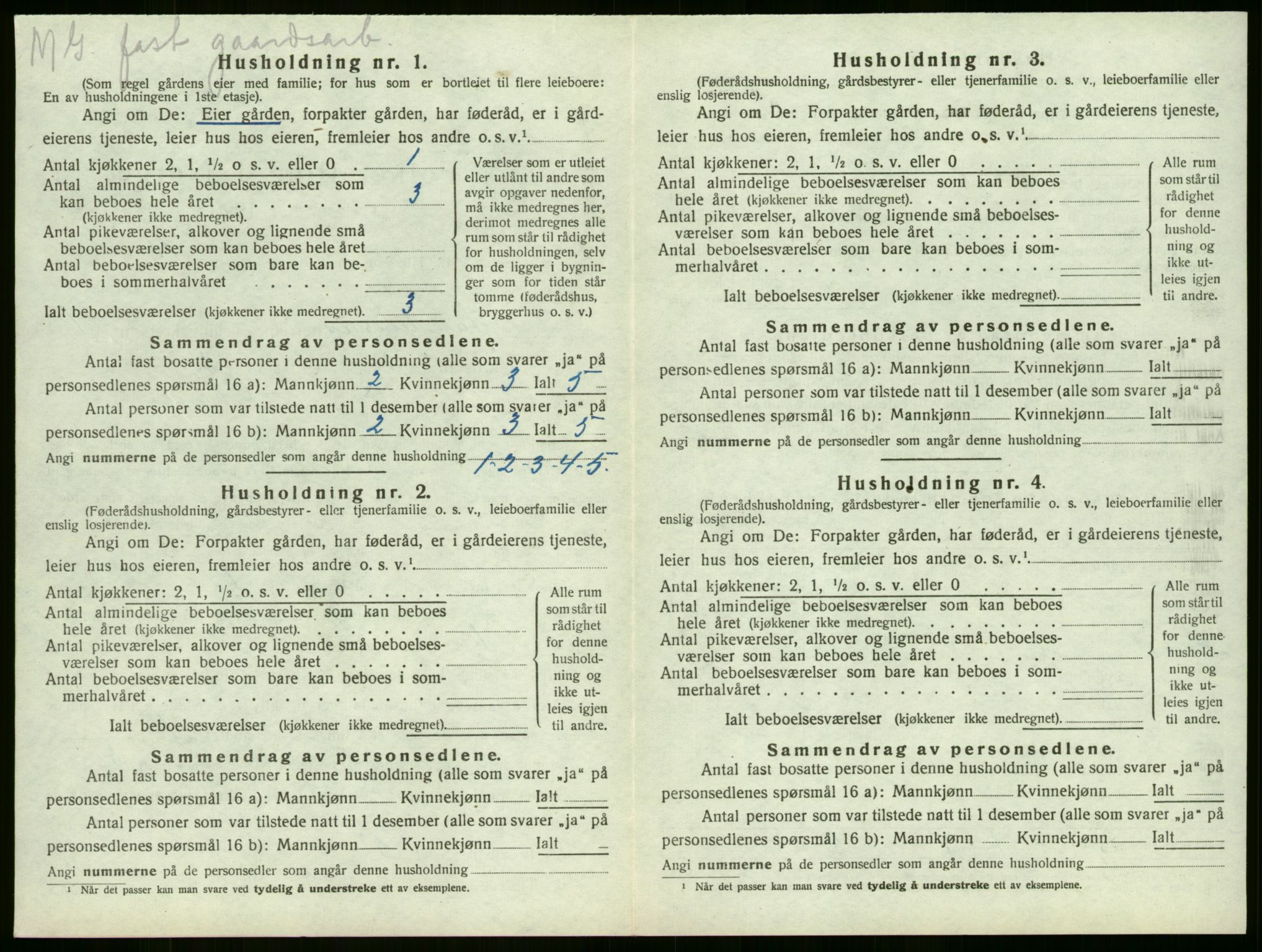 SAKO, 1920 census for Sandeherred, 1920, p. 100