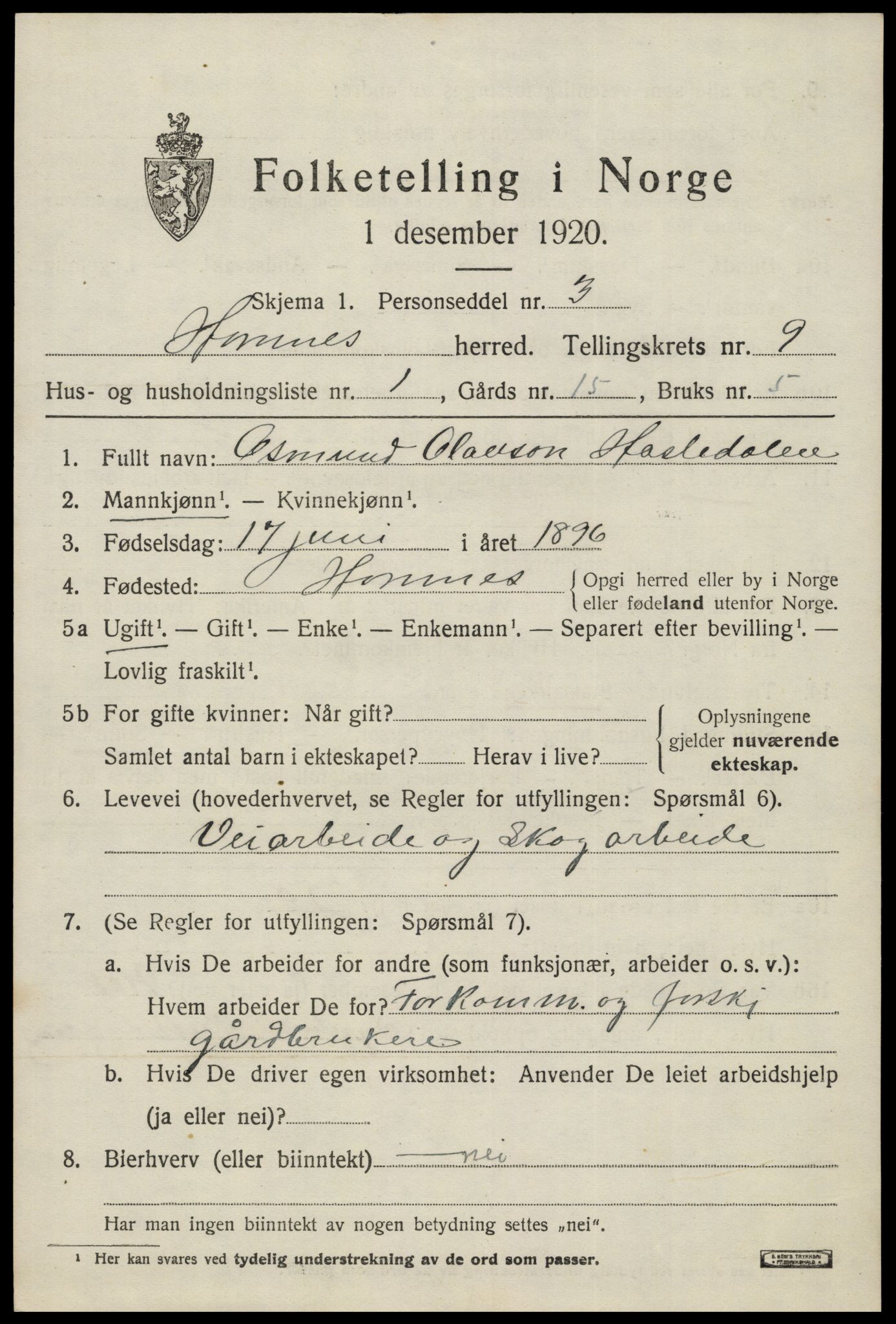 SAK, 1920 census for Hornnes, 1920, p. 2195