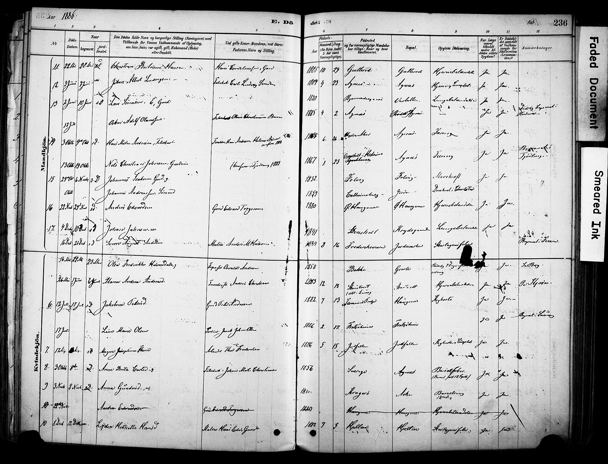 Brunlanes kirkebøker, AV/SAKO-A-342/F/Fc/L0001: Parish register (official) no. III 1, 1878-1899, p. 236