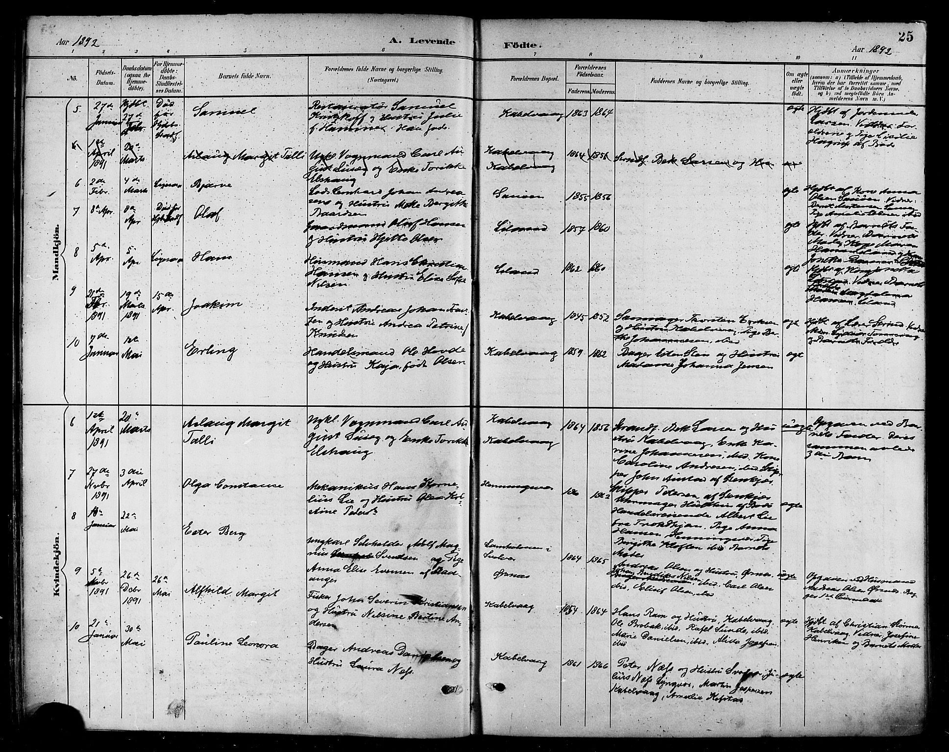 Ministerialprotokoller, klokkerbøker og fødselsregistre - Nordland, AV/SAT-A-1459/874/L1060: Parish register (official) no. 874A04, 1890-1899, p. 25