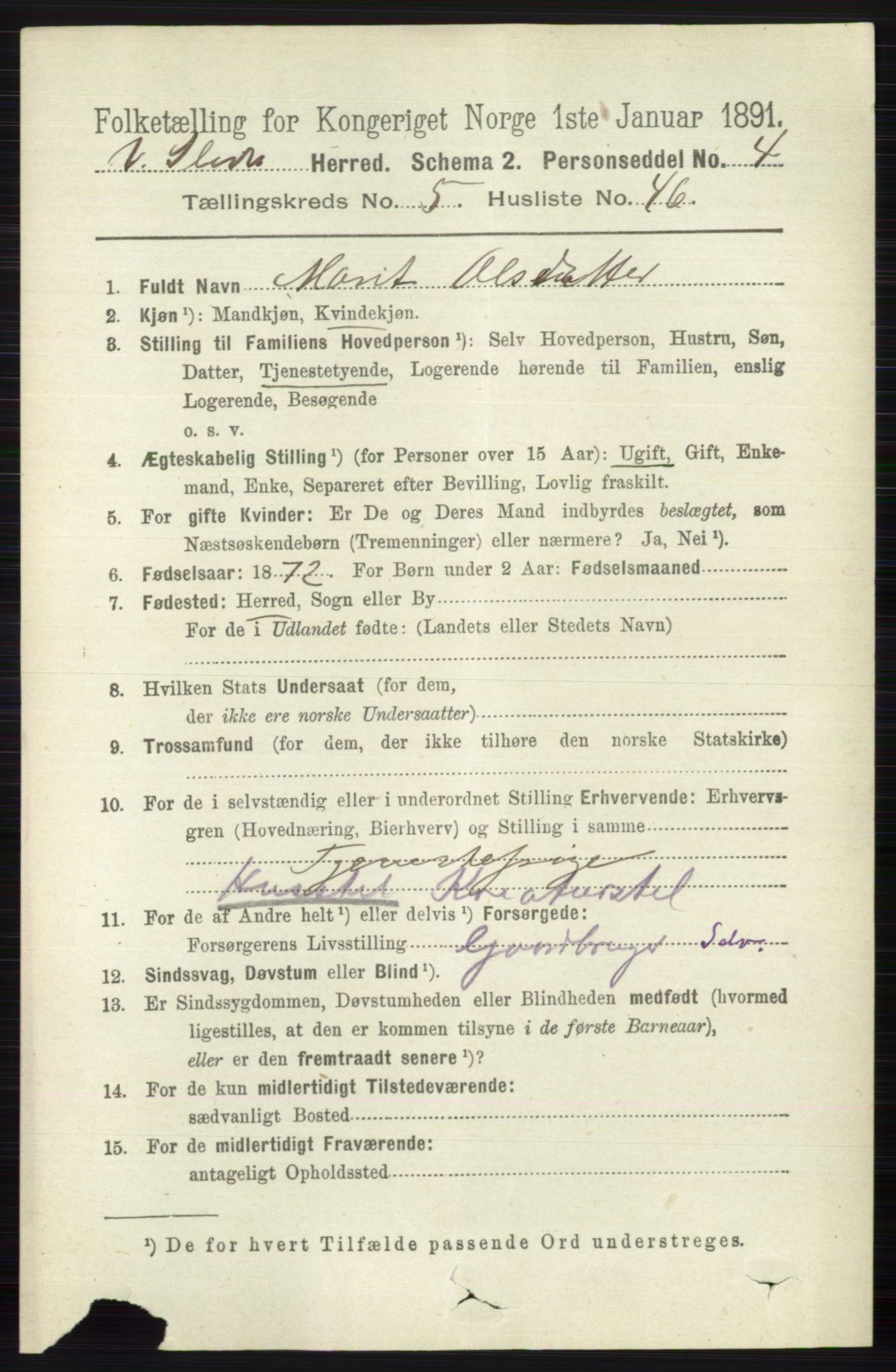 RA, 1891 census for 0543 Vestre Slidre, 1891, p. 1984