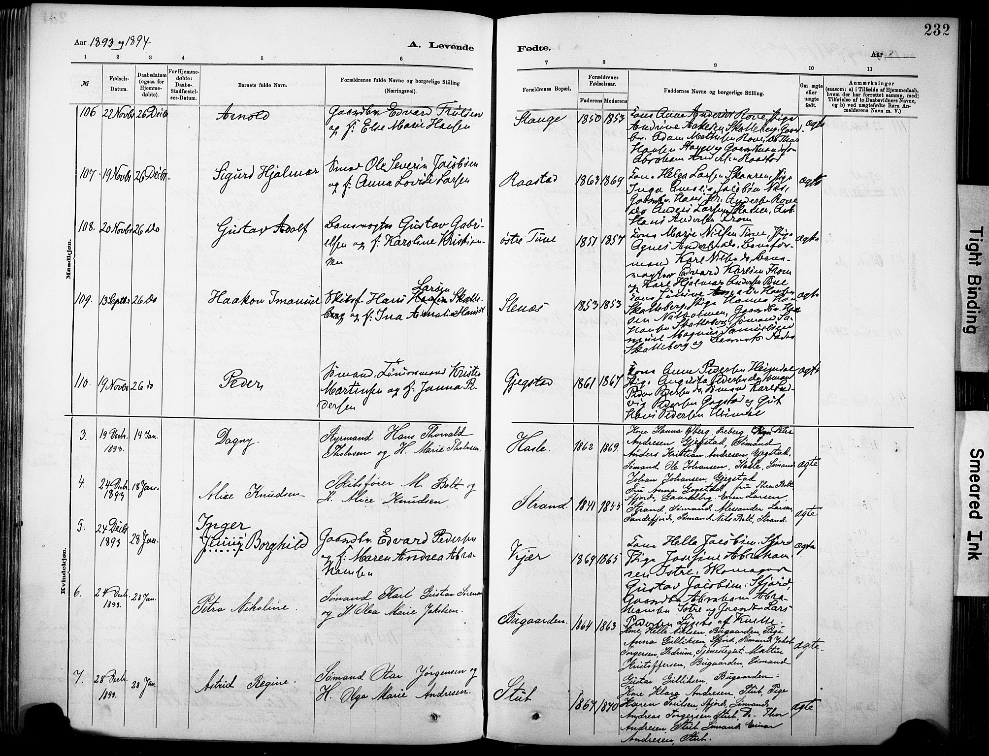 Sandar kirkebøker, SAKO/A-243/F/Fa/L0012: Parish register (official) no. 12, 1883-1895, p. 232