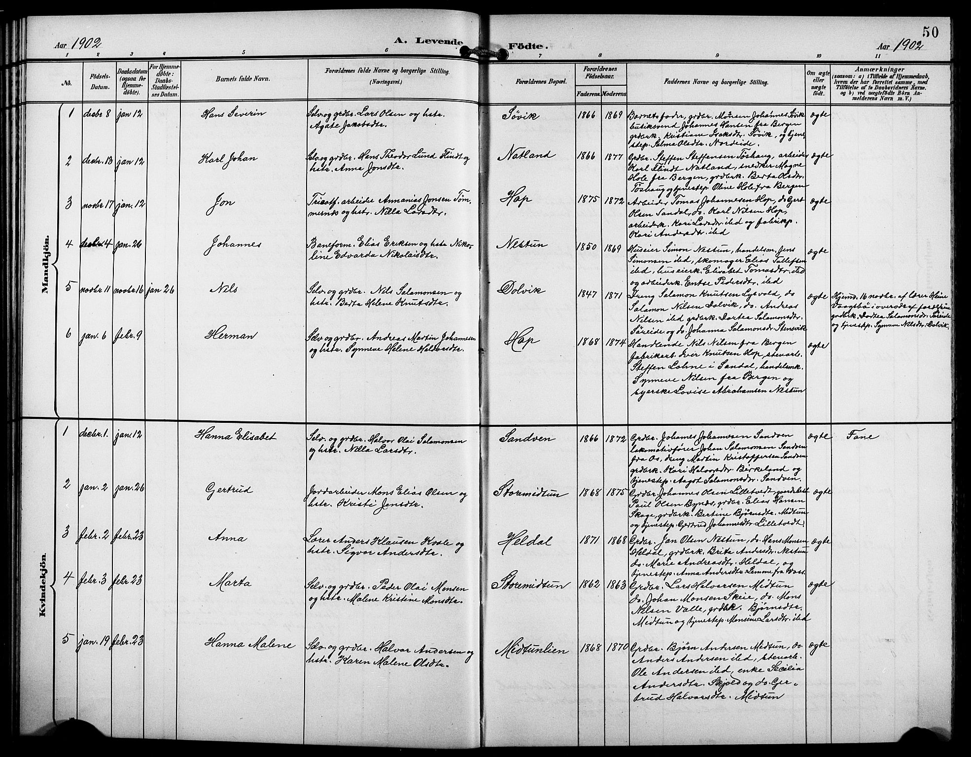 Birkeland Sokneprestembete, SAB/A-74601/H/Hab: Parish register (copy) no. A 5, 1897-1905, p. 50