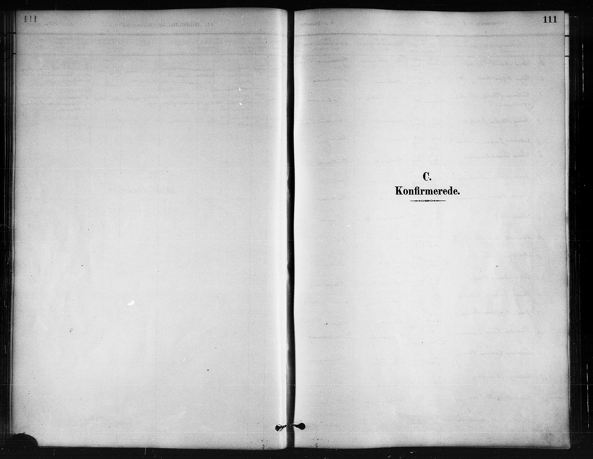 Ministerialprotokoller, klokkerbøker og fødselsregistre - Nordland, SAT/A-1459/874/L1059: Parish register (official) no. 874A03, 1884-1890, p. 111