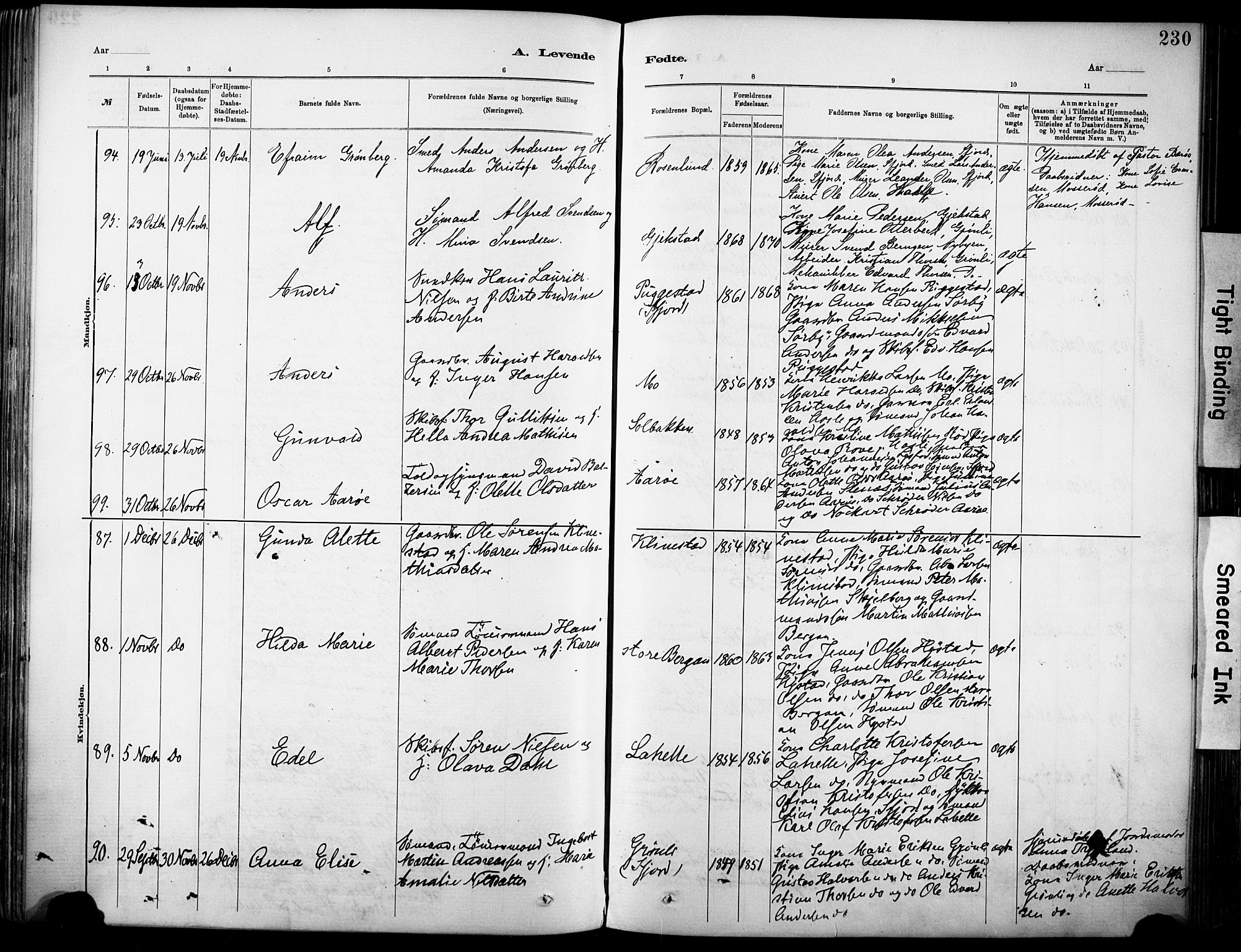 Sandar kirkebøker, AV/SAKO-A-243/F/Fa/L0012: Parish register (official) no. 12, 1883-1895, p. 230