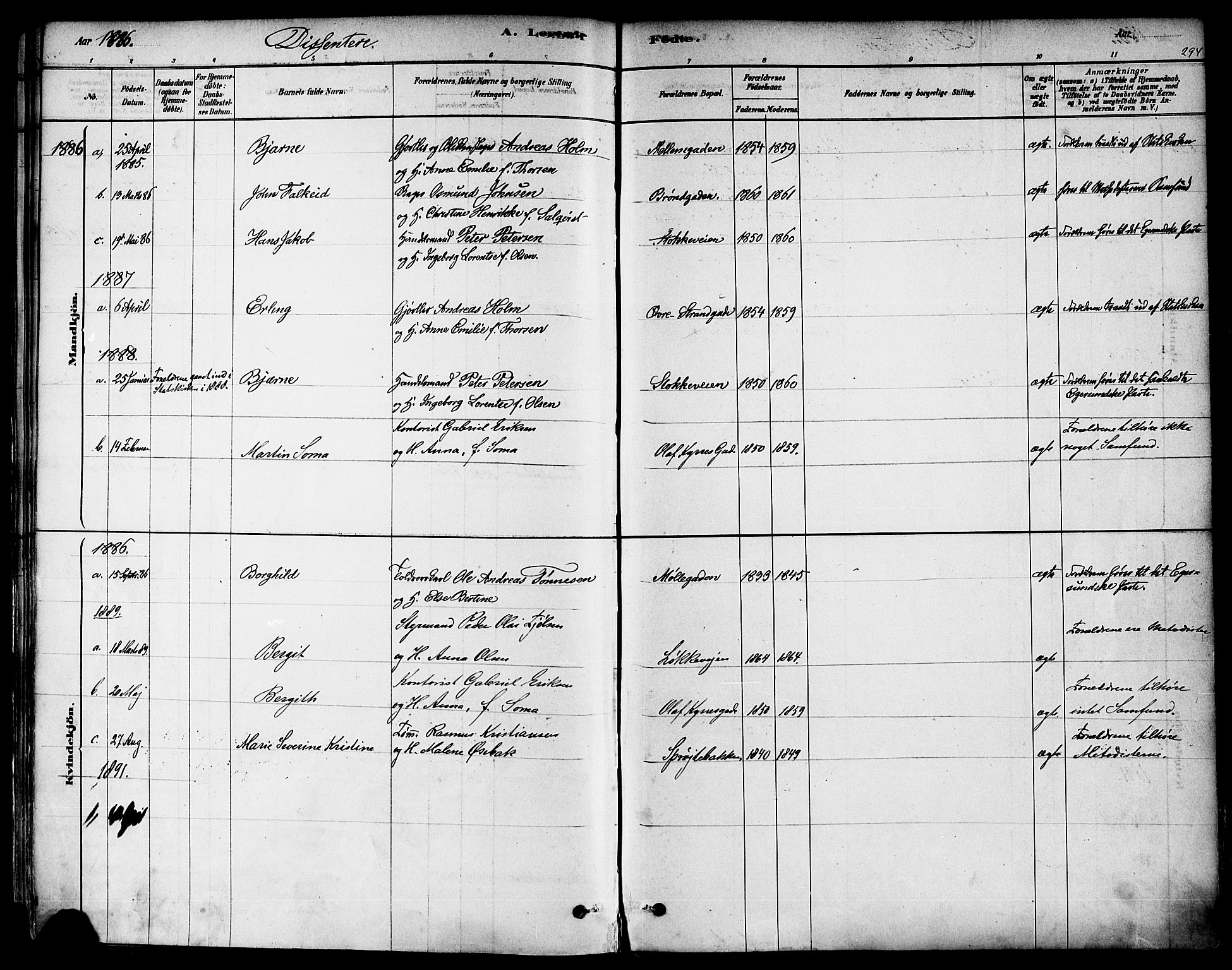 Domkirken sokneprestkontor, SAST/A-101812/001/30/30BA/L0026: Parish register (official) no. A 25, 1878-1889, p. 294
