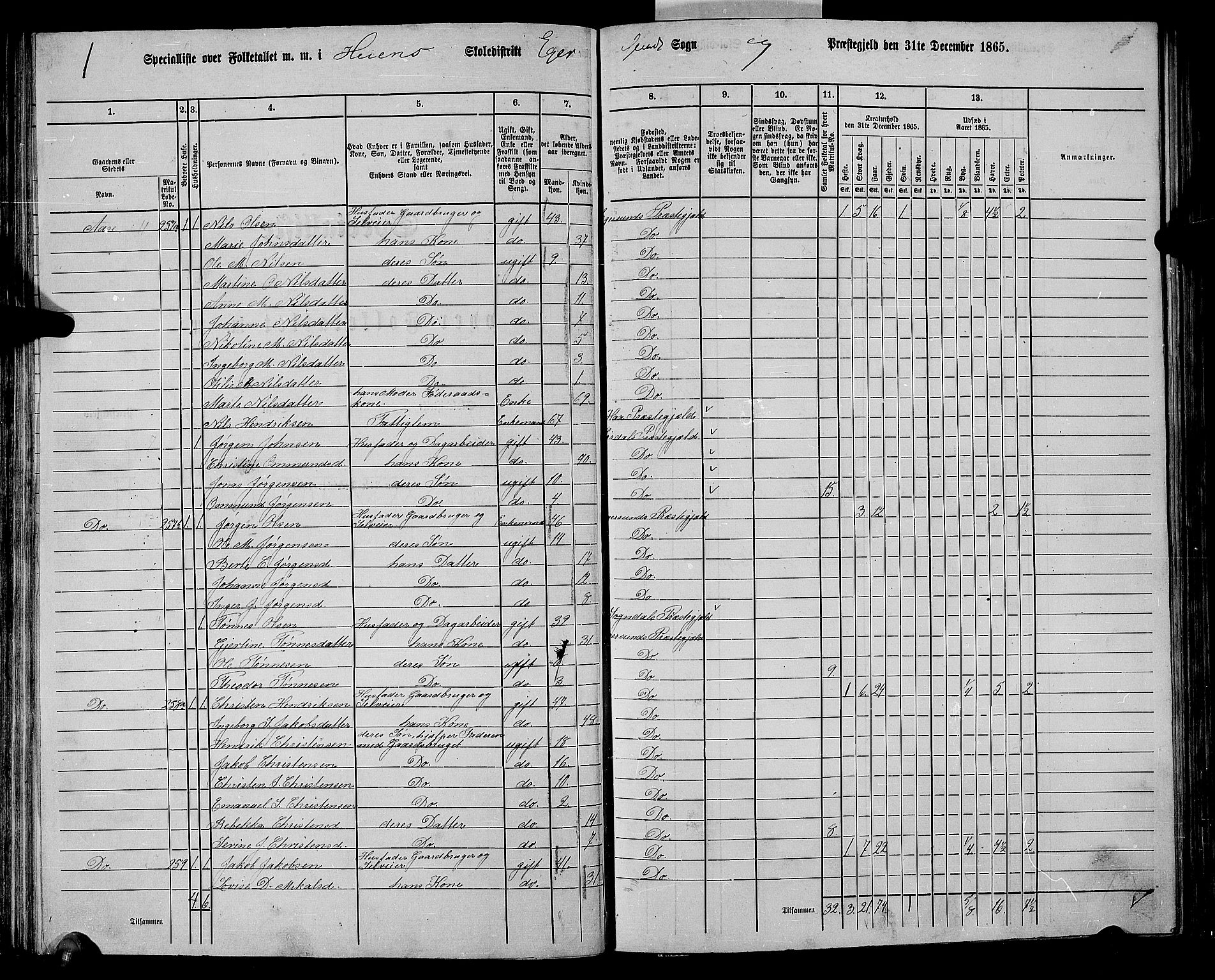 RA, 1865 census for Eigersund/Eigersund og Ogna, 1865, p. 80