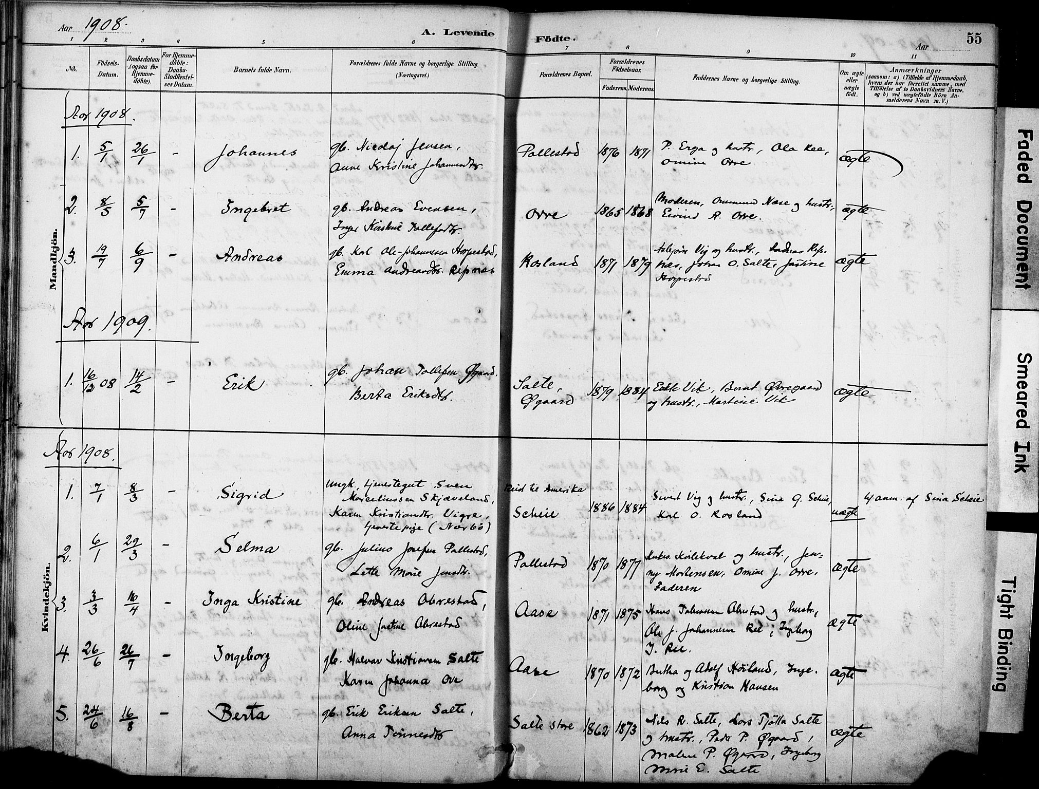 Klepp sokneprestkontor, SAST/A-101803/001/3/30BA/L0007: Parish register (official) no. A 8, 1886-1912, p. 55