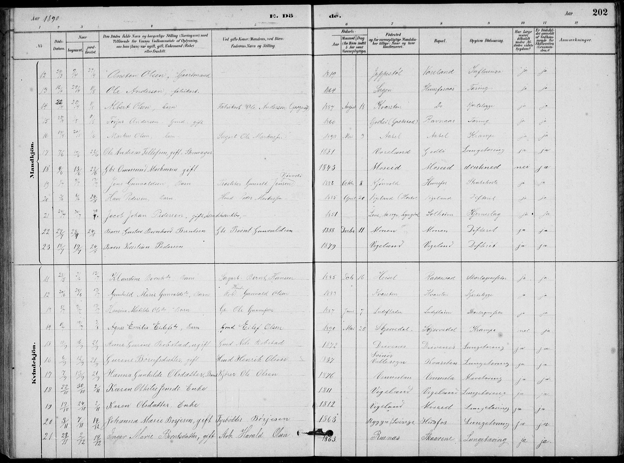 Vennesla sokneprestkontor, AV/SAK-1111-0045/Fb/Fbb/L0003: Parish register (copy) no. B 3, 1879-1893, p. 202