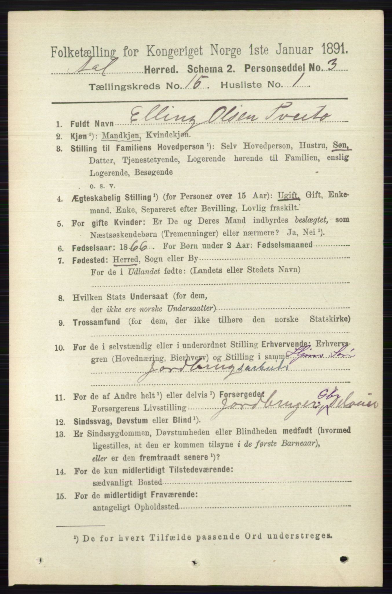 RA, 1891 census for 0619 Ål, 1891, p. 3756