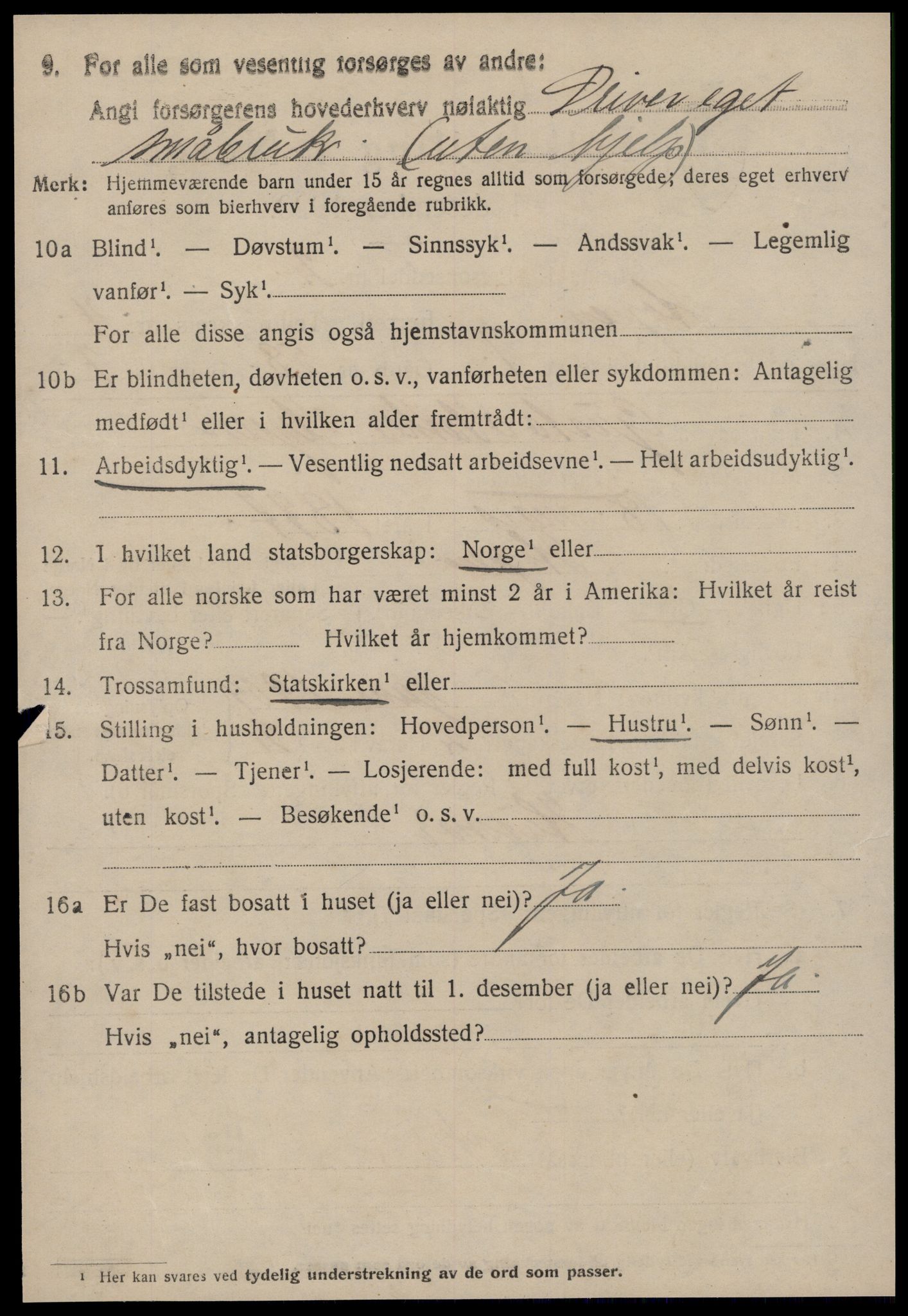 SAT, 1920 census for Hopen, 1920, p. 1999