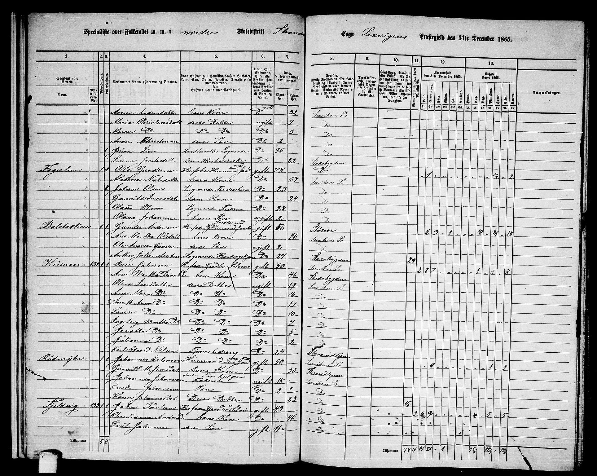 RA, 1865 census for Leksvik, 1865, p. 19