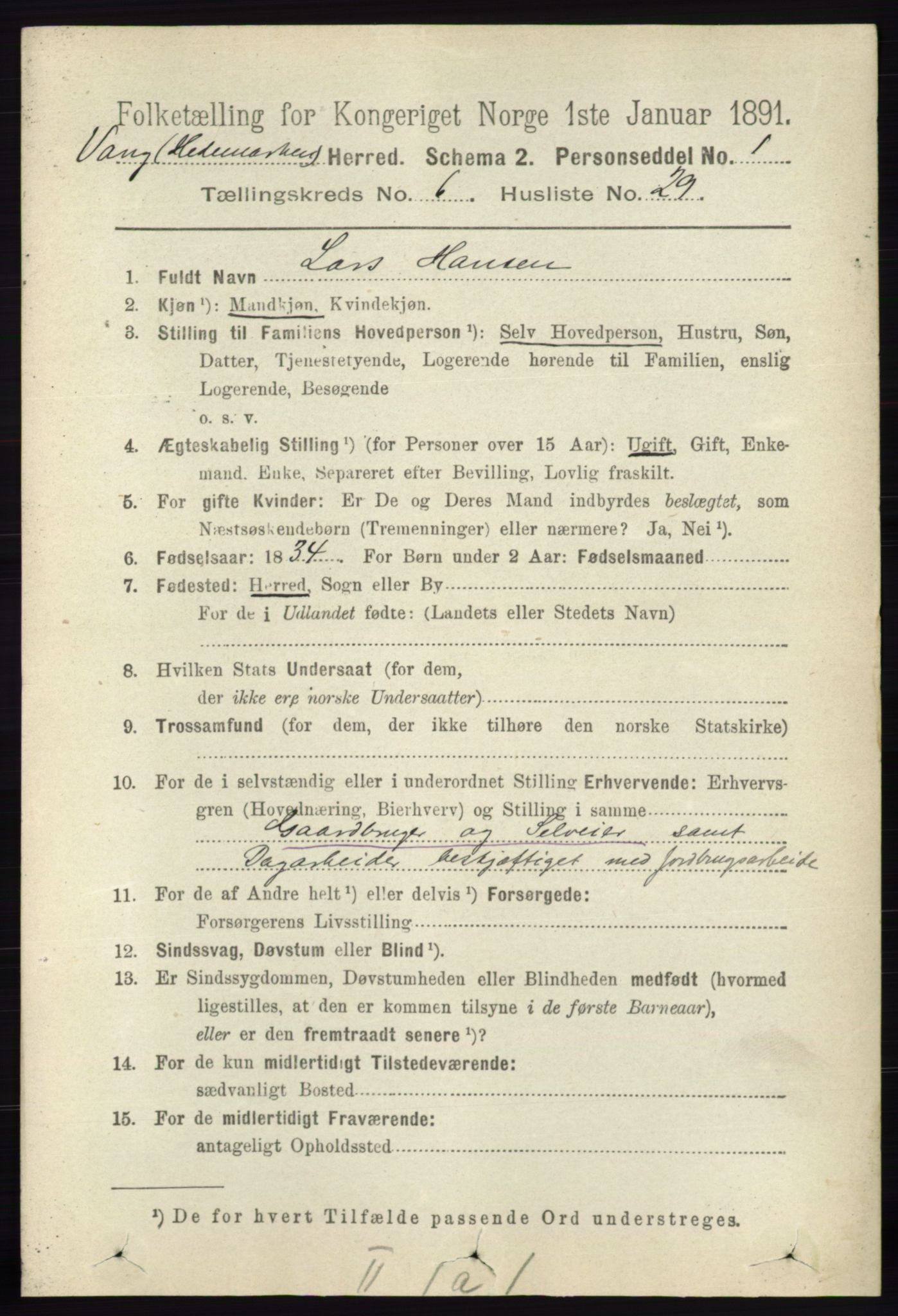 RA, 1891 census for 0414 Vang, 1891, p. 4447