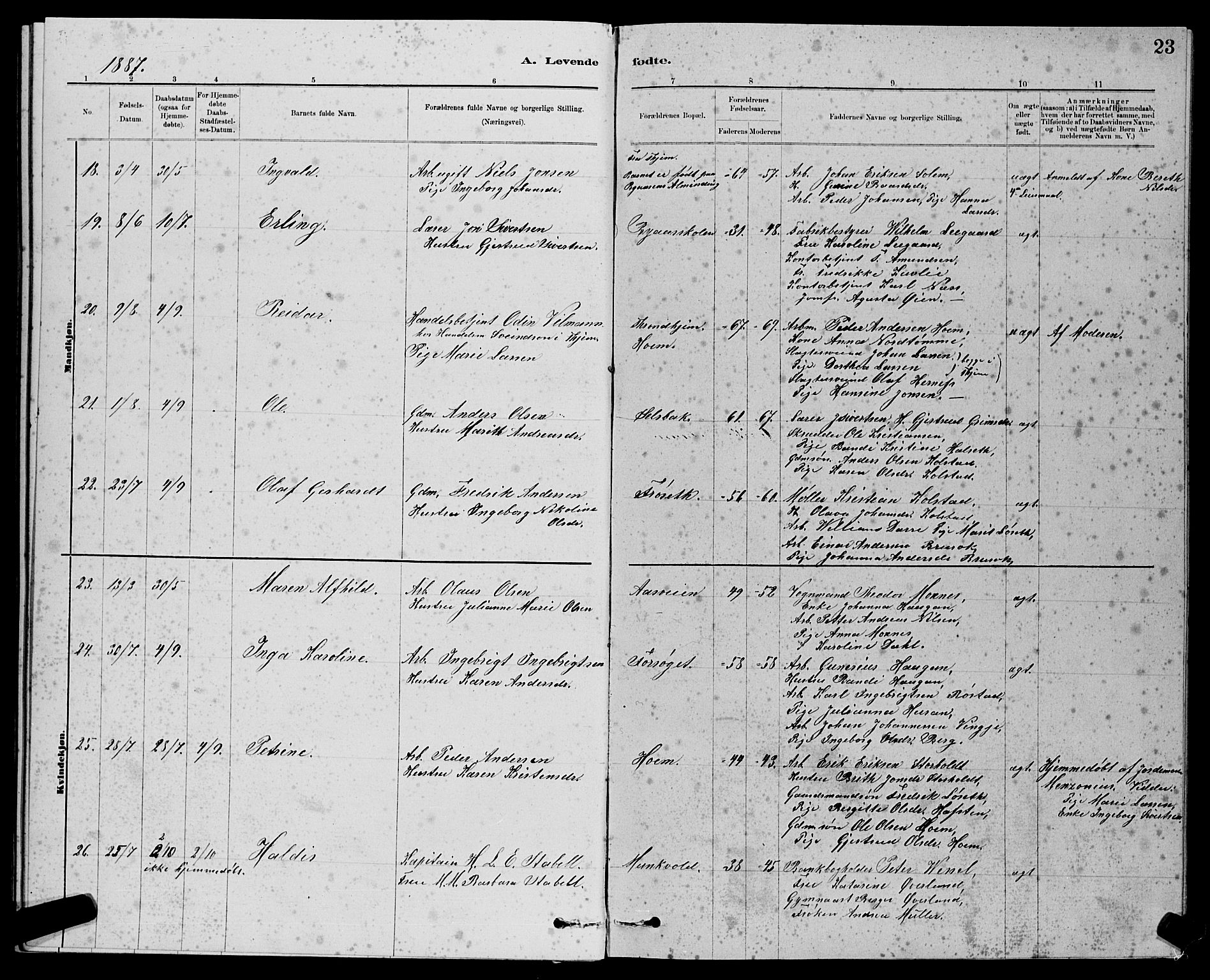 Ministerialprotokoller, klokkerbøker og fødselsregistre - Sør-Trøndelag, AV/SAT-A-1456/611/L0354: Parish register (copy) no. 611C02, 1881-1896, p. 23