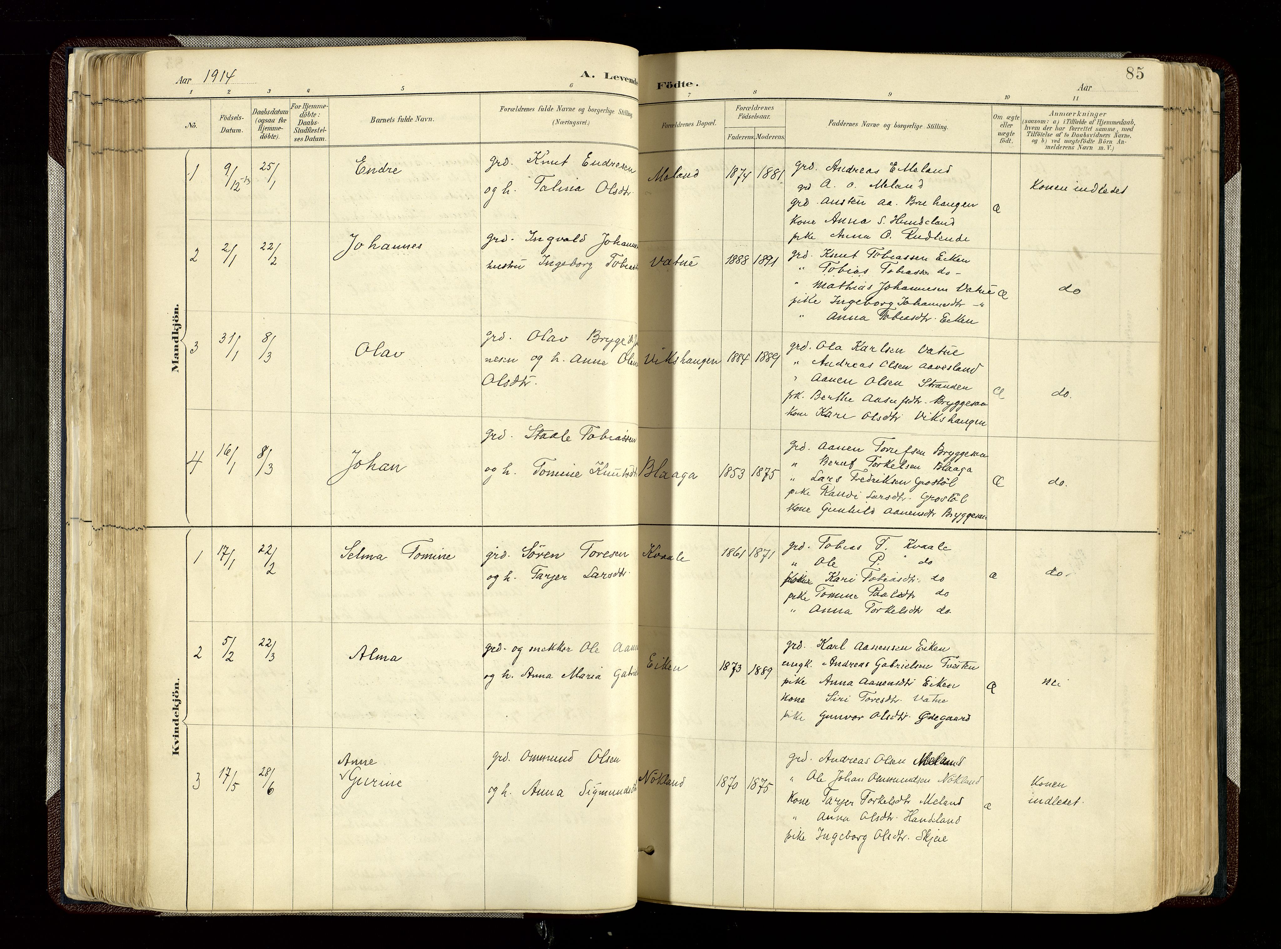 Hægebostad sokneprestkontor, AV/SAK-1111-0024/F/Fa/Fab/L0004: Parish register (official) no. A 4, 1887-1929, p. 85