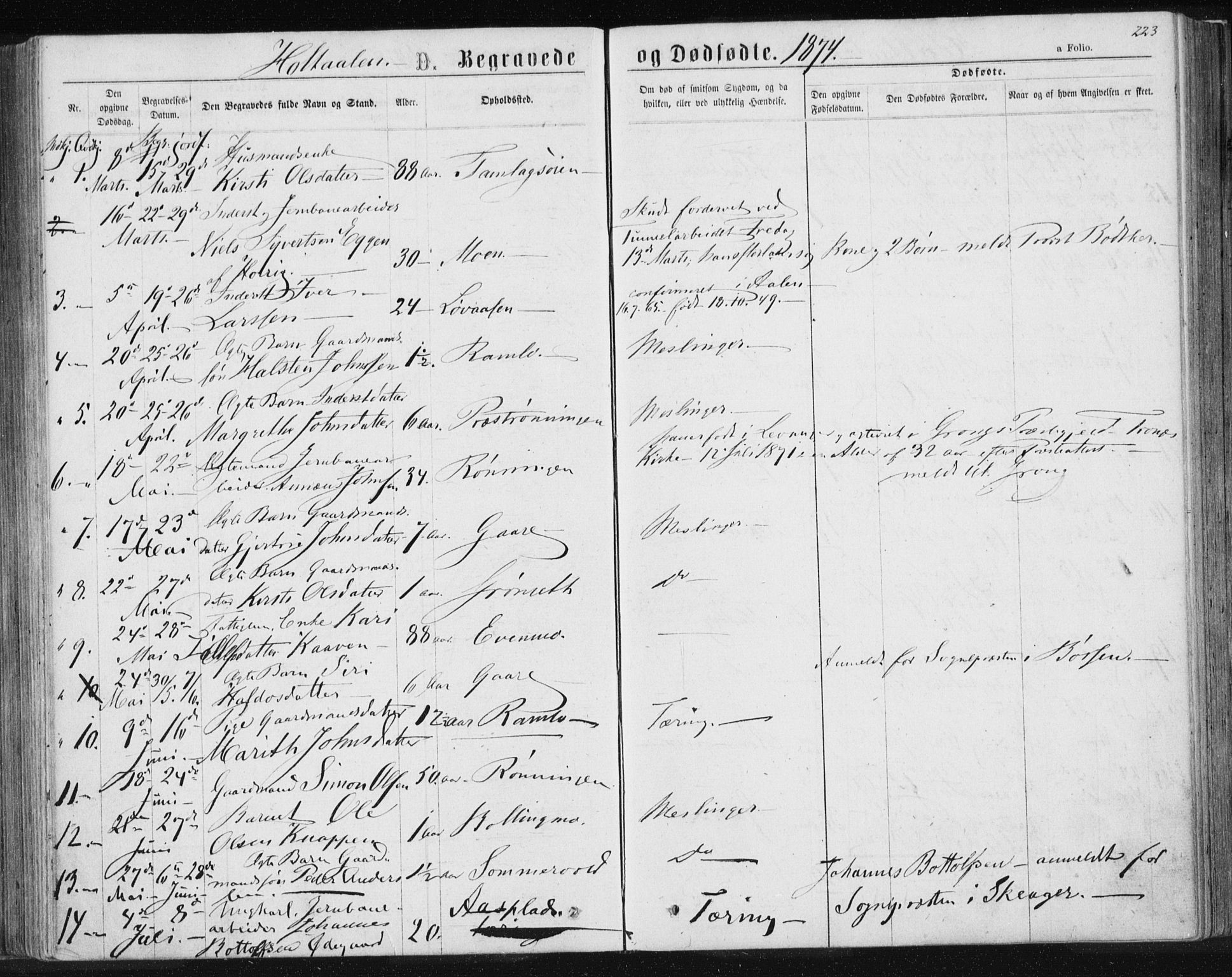 Ministerialprotokoller, klokkerbøker og fødselsregistre - Sør-Trøndelag, SAT/A-1456/685/L0969: Parish register (official) no. 685A08 /1, 1870-1878, p. 223