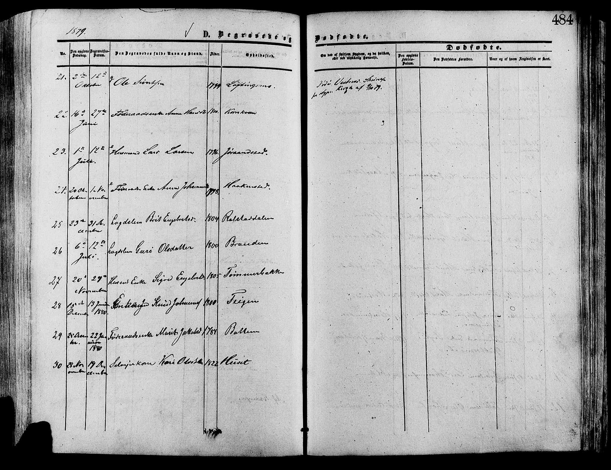 Lesja prestekontor, SAH/PREST-068/H/Ha/Haa/L0008: Parish register (official) no. 8, 1854-1880, p. 484