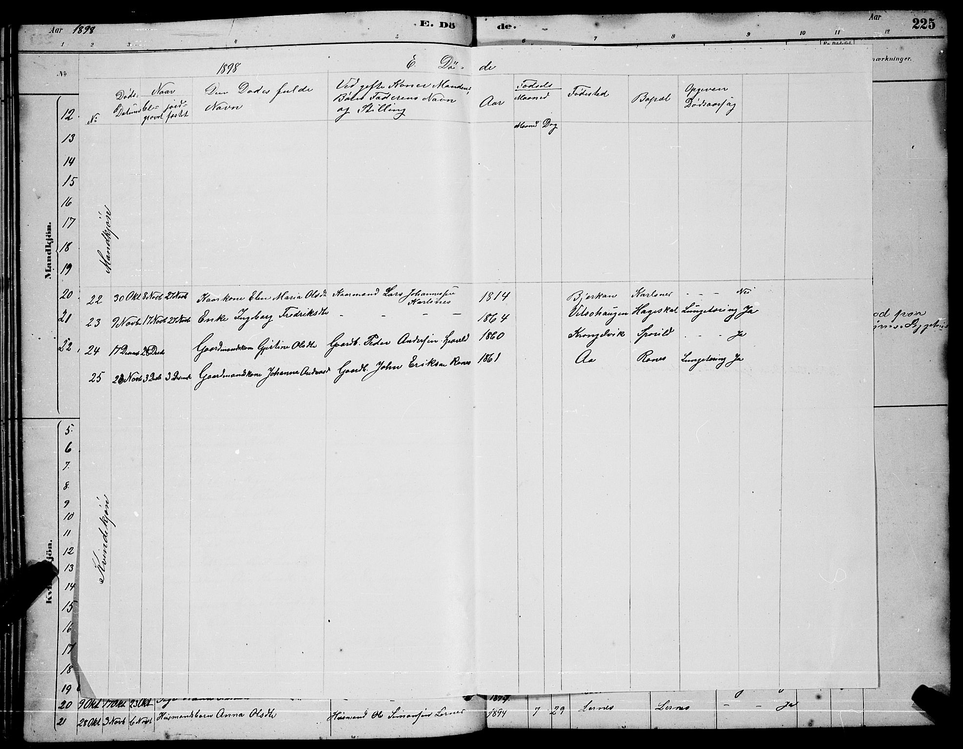 Ministerialprotokoller, klokkerbøker og fødselsregistre - Sør-Trøndelag, SAT/A-1456/630/L0504: Parish register (copy) no. 630C02, 1879-1898, p. 225b