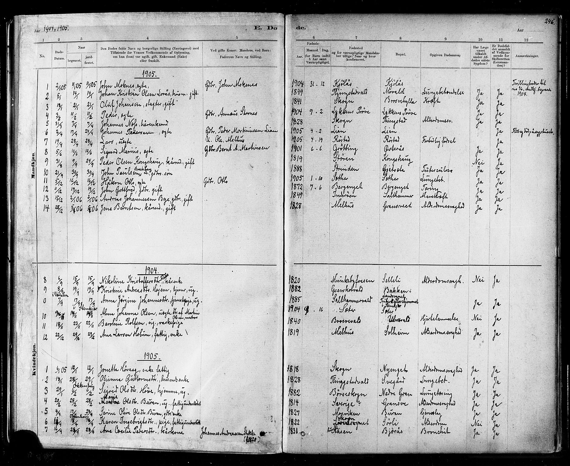 Ministerialprotokoller, klokkerbøker og fødselsregistre - Nord-Trøndelag, SAT/A-1458/721/L0208: Parish register (copy) no. 721C01, 1880-1917, p. 246