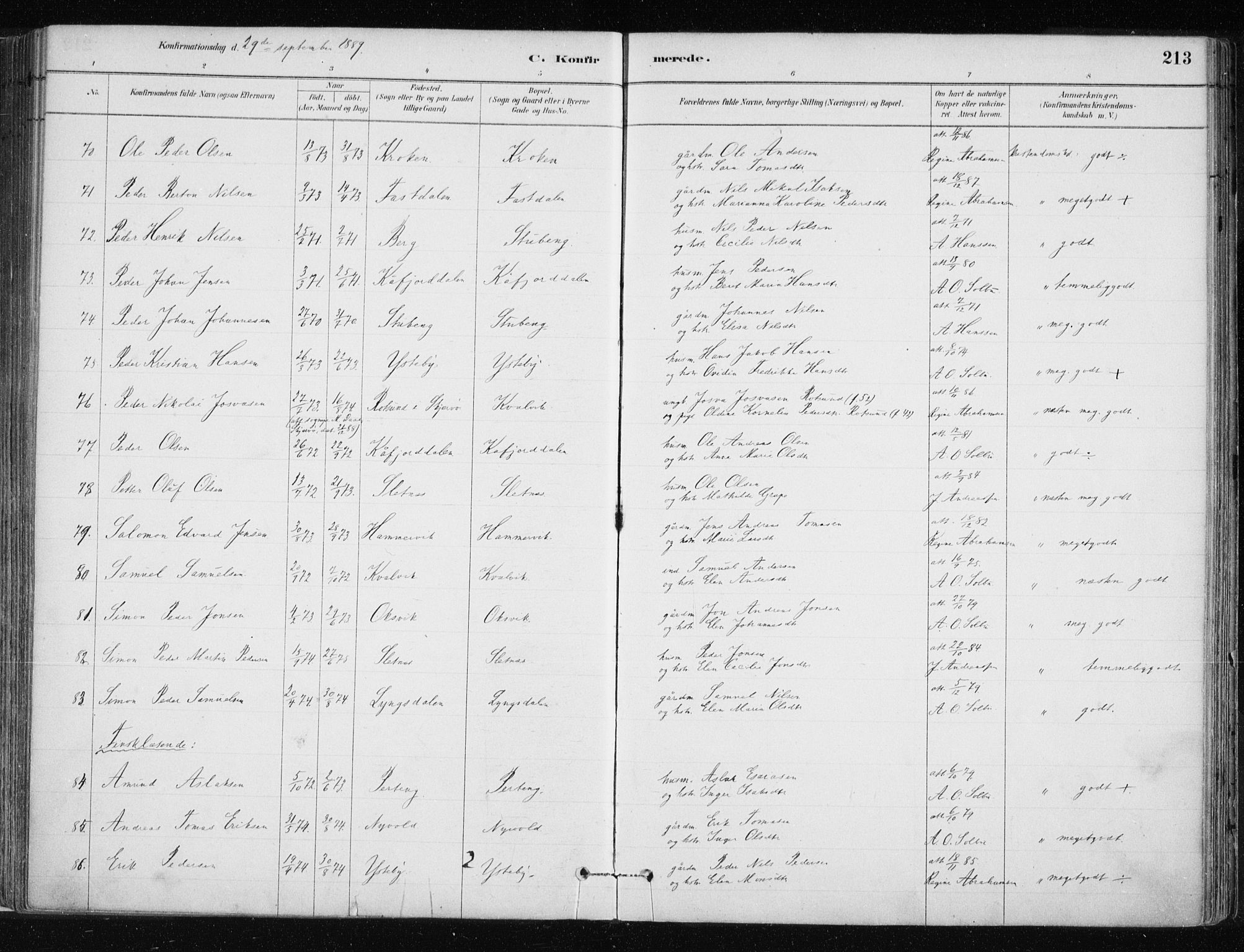 Lyngen sokneprestembete, AV/SATØ-S-1289/H/He/Hea/L0007kirke: Parish register (official) no. 7, 1879-1890, p. 213