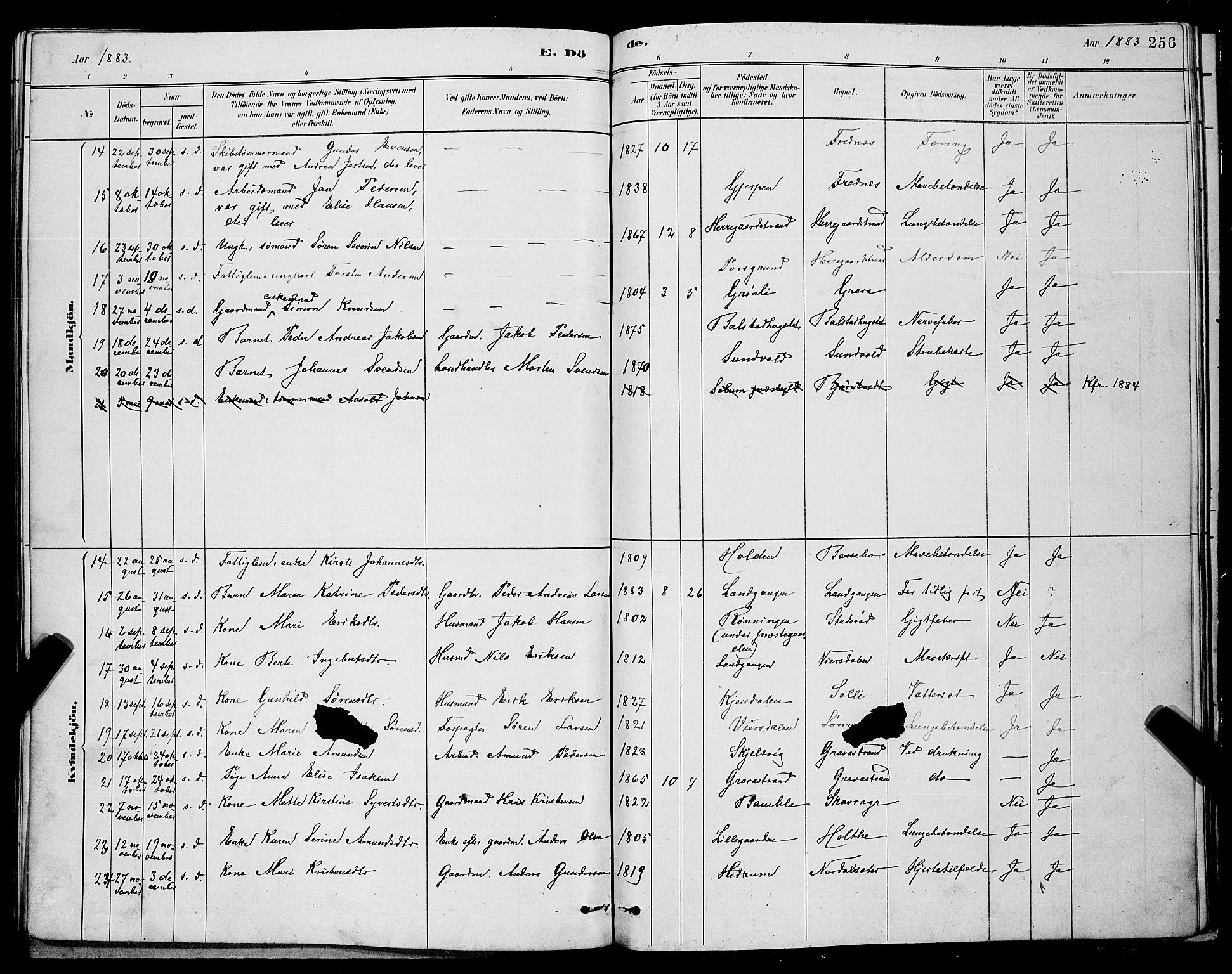 Eidanger kirkebøker, AV/SAKO-A-261/G/Ga/L0002: Parish register (copy) no. 2, 1879-1892, p. 256