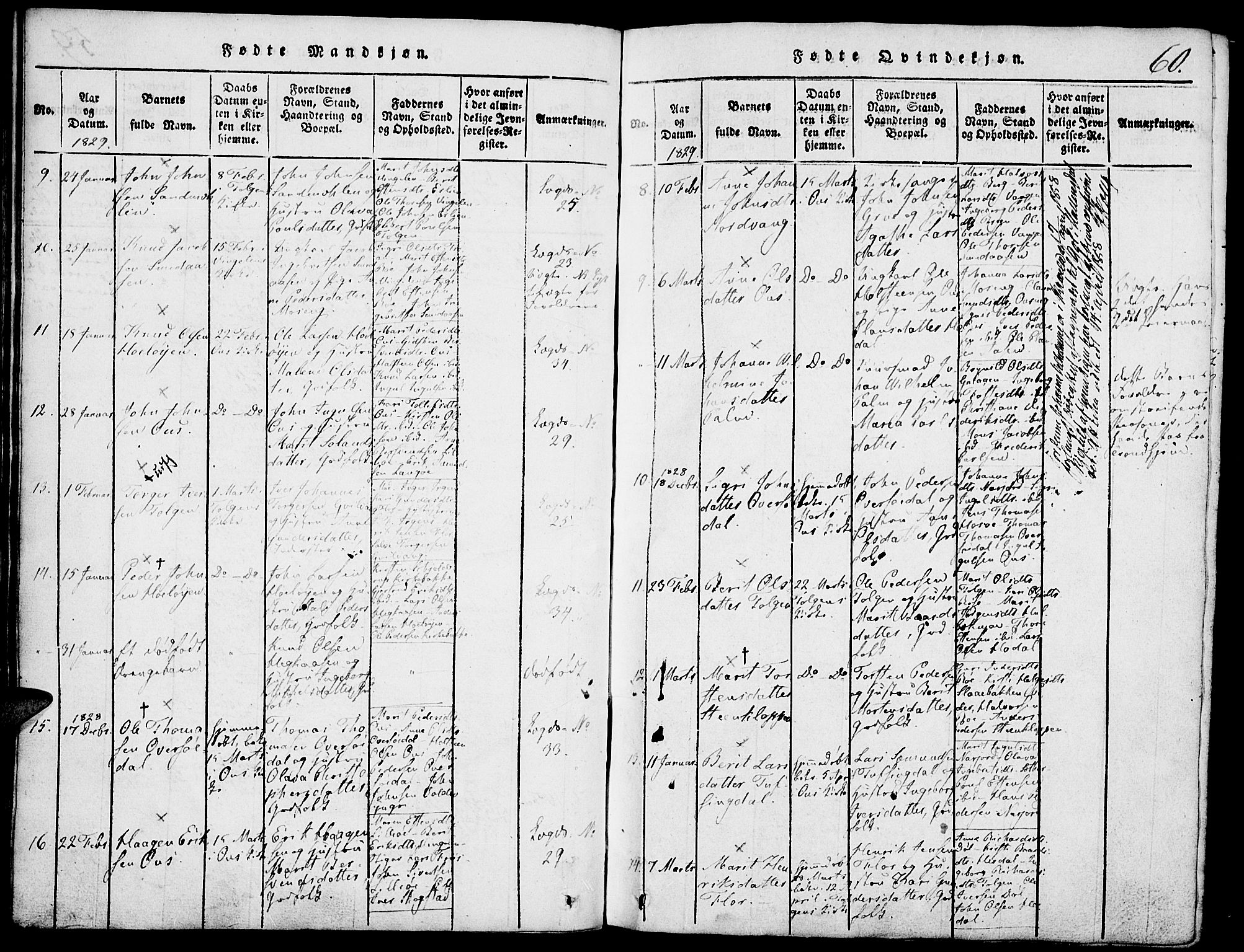 Tolga prestekontor, SAH/PREST-062/K/L0004: Parish register (official) no. 4, 1815-1836, p. 60