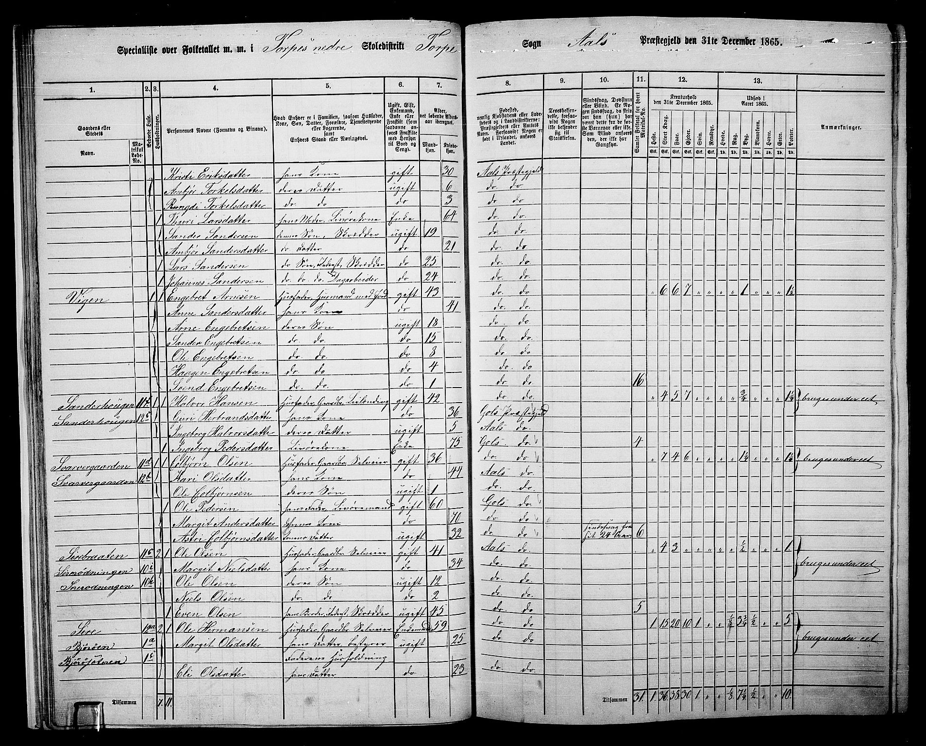 RA, 1865 census for Ål, 1865, p. 26