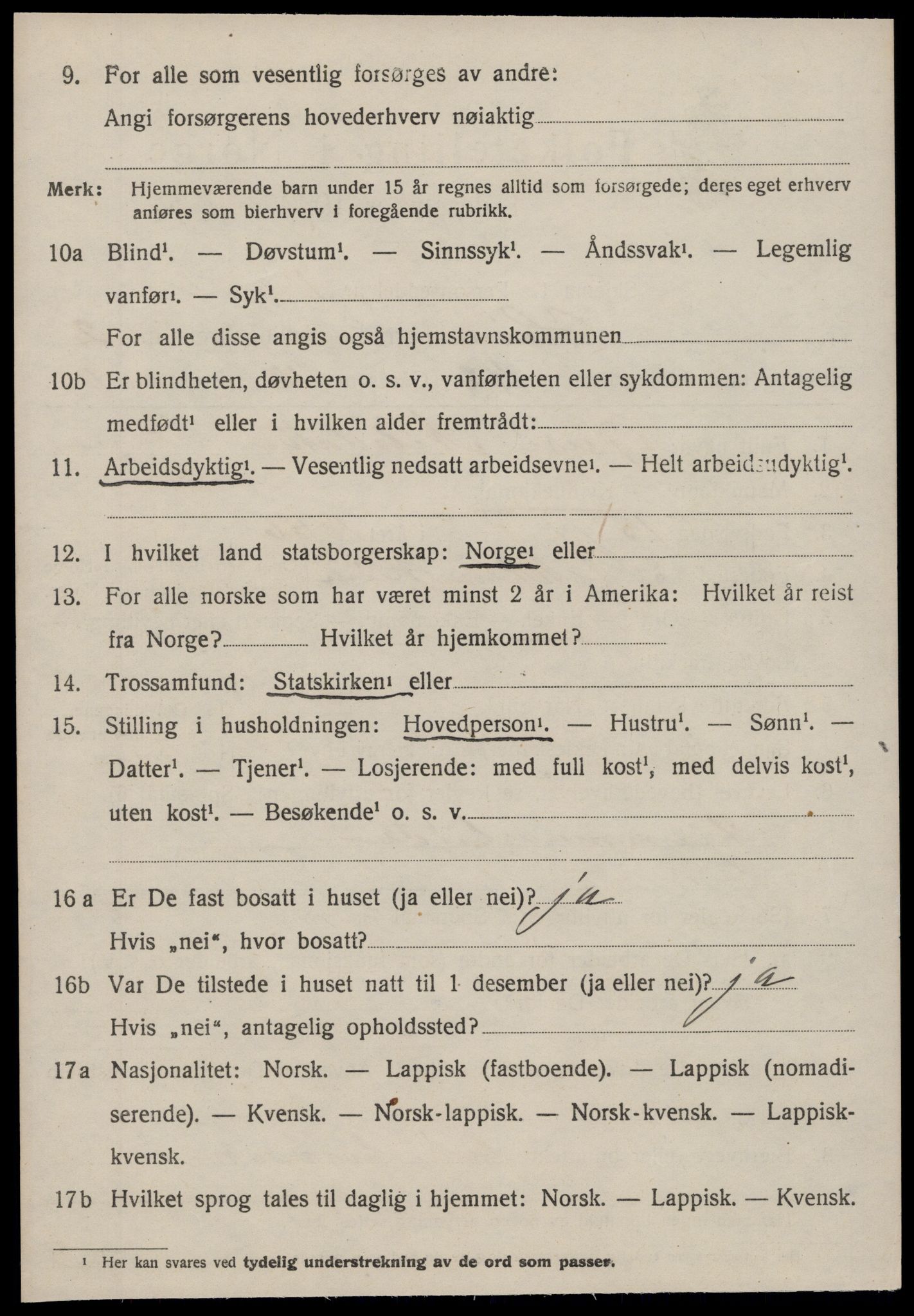 SAT, 1920 census for Heim, 1920, p. 1910