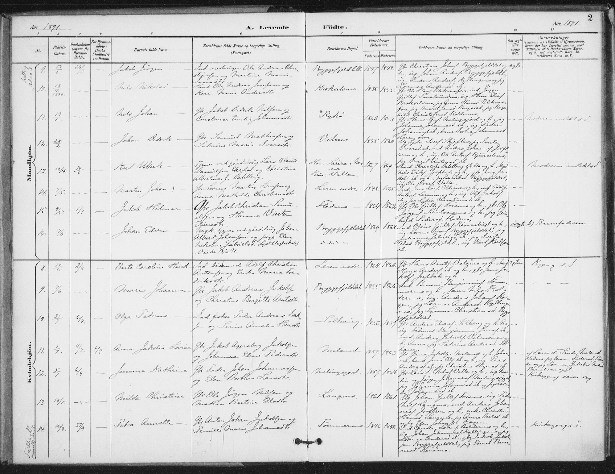 Ministerialprotokoller, klokkerbøker og fødselsregistre - Nordland, SAT/A-1459/826/L0380: Parish register (official) no. 826A03, 1891-1911, p. 2
