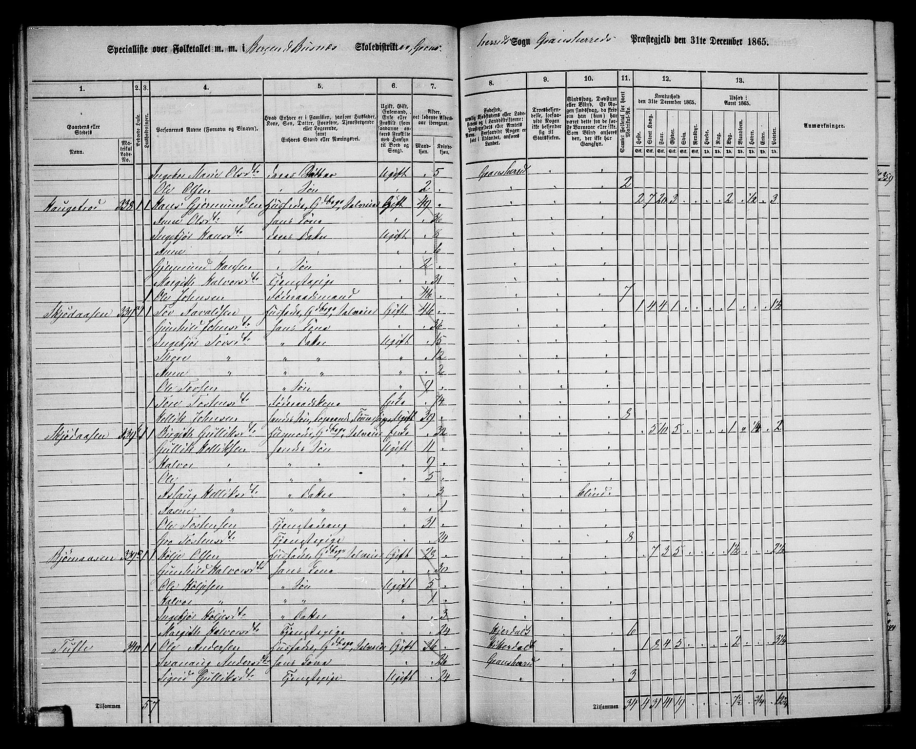 RA, 1865 census for Gransherad, 1865, p. 41