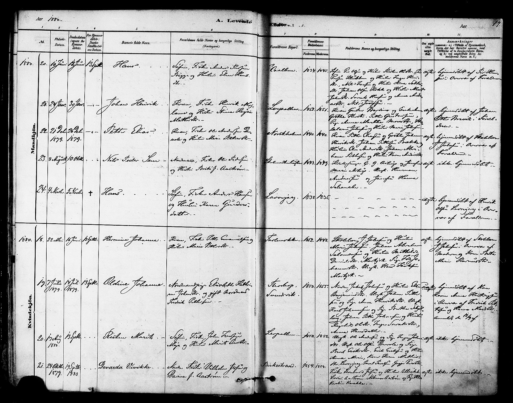 Tana sokneprestkontor, SATØ/S-1334/H/Ha/L0004kirke: Parish register (official) no. 4, 1878-1891, p. 19