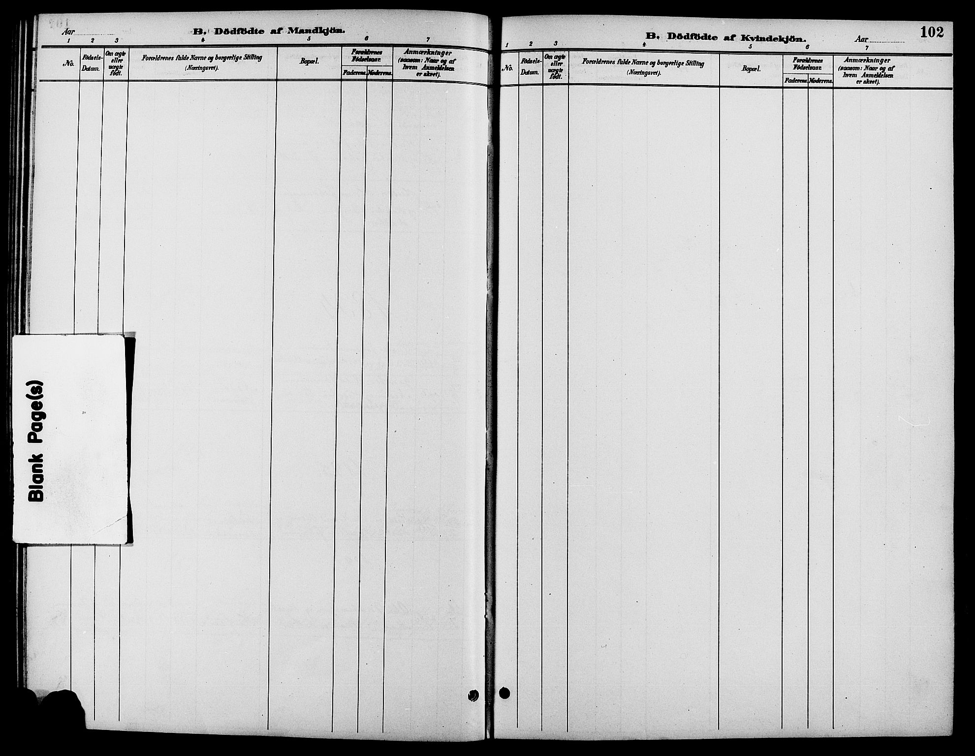 Biri prestekontor, SAH/PREST-096/H/Ha/Hab/L0004: Parish register (copy) no. 4, 1892-1909, p. 102