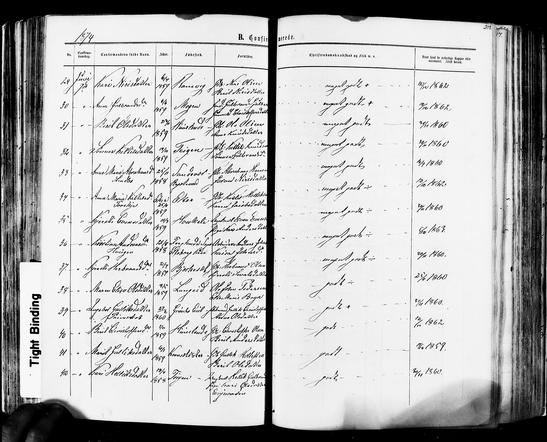 Flesberg kirkebøker, SAKO/A-18/F/Fa/L0007: Parish register (official) no. I 7, 1861-1878, p. 208