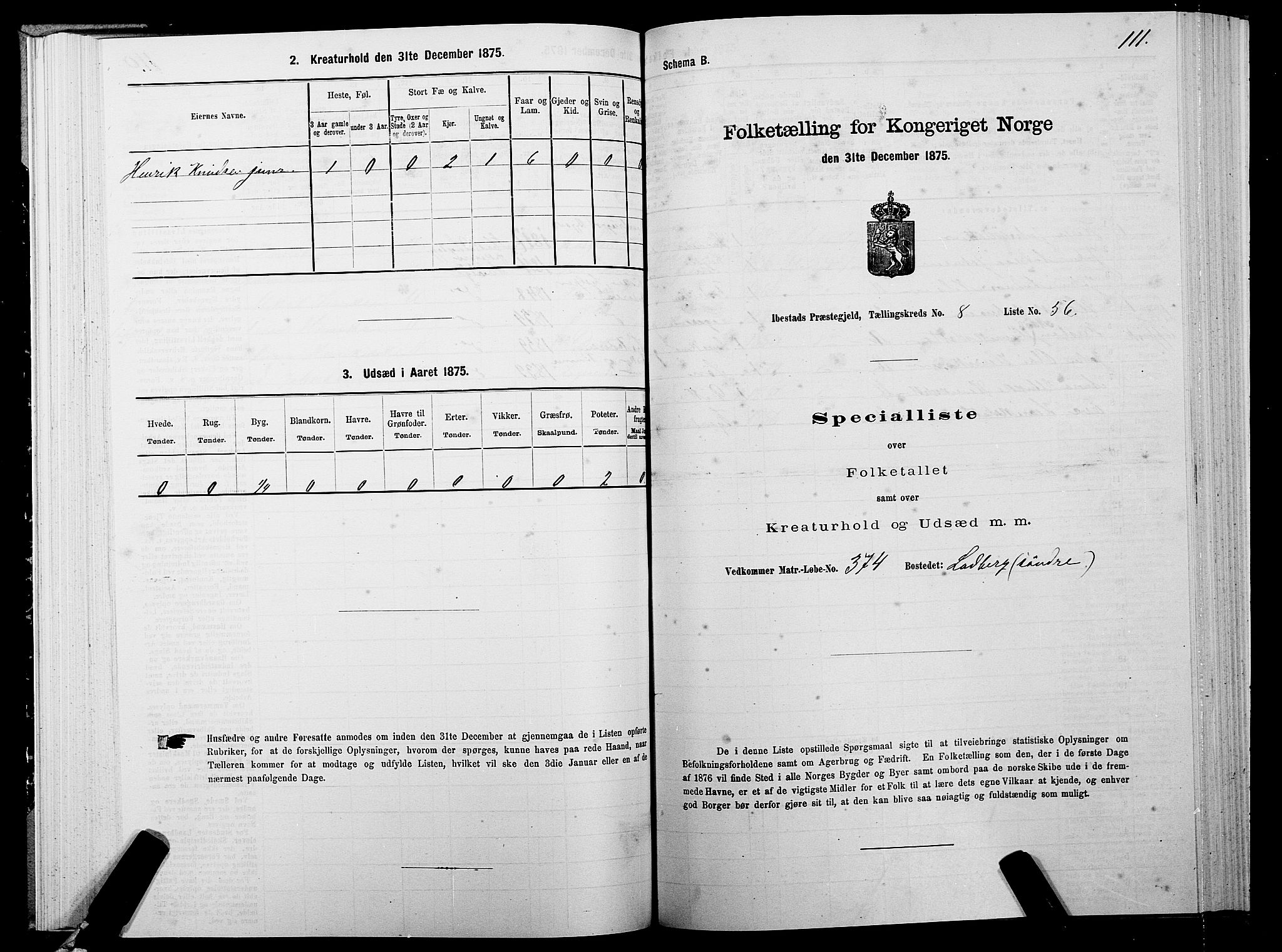 SATØ, 1875 census for 1917P Ibestad, 1875, p. 5111