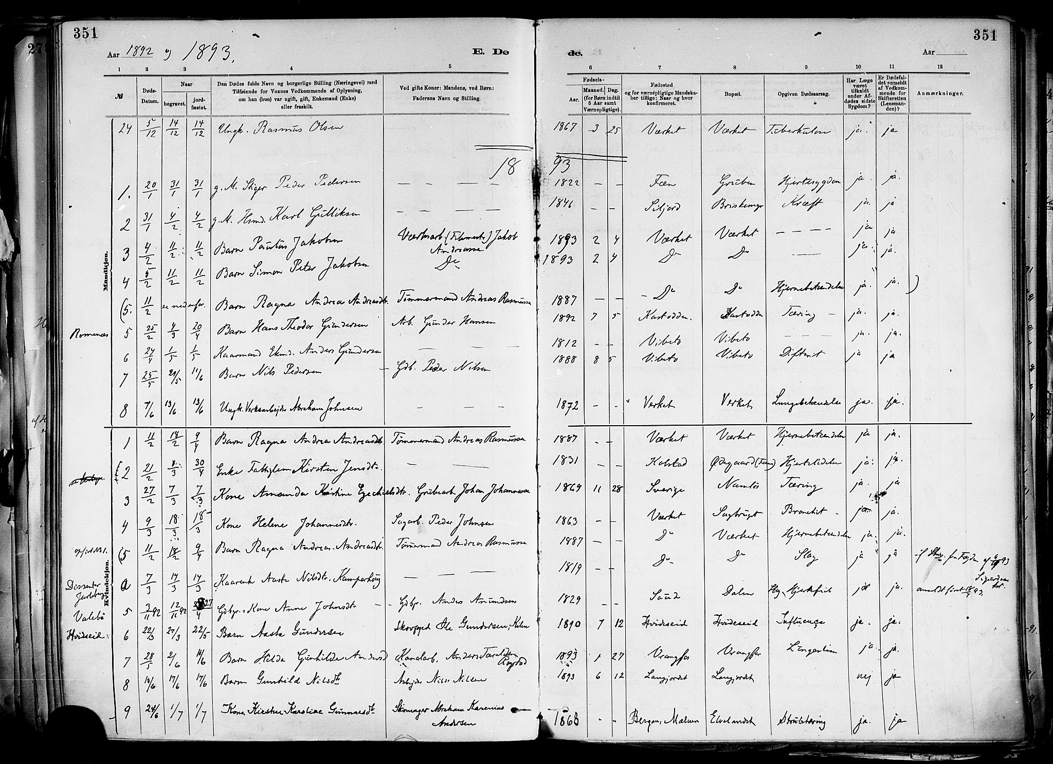 Holla kirkebøker, SAKO/A-272/F/Fa/L0008: Parish register (official) no. 8, 1882-1897, p. 351